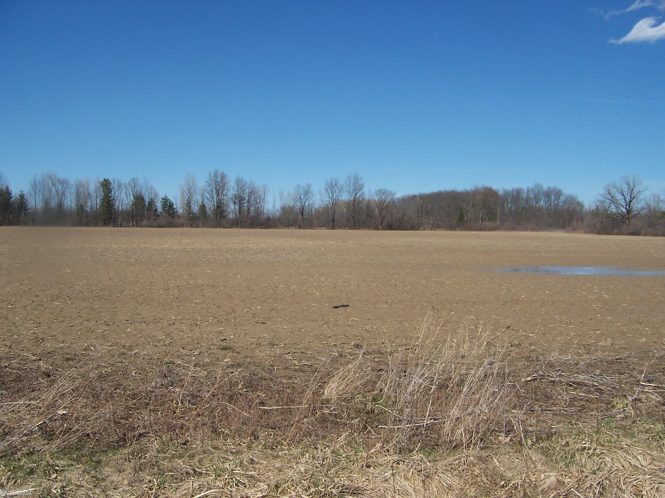 Lot 2 Beard Rd Road, Avoca, MI 48006 — front exterior