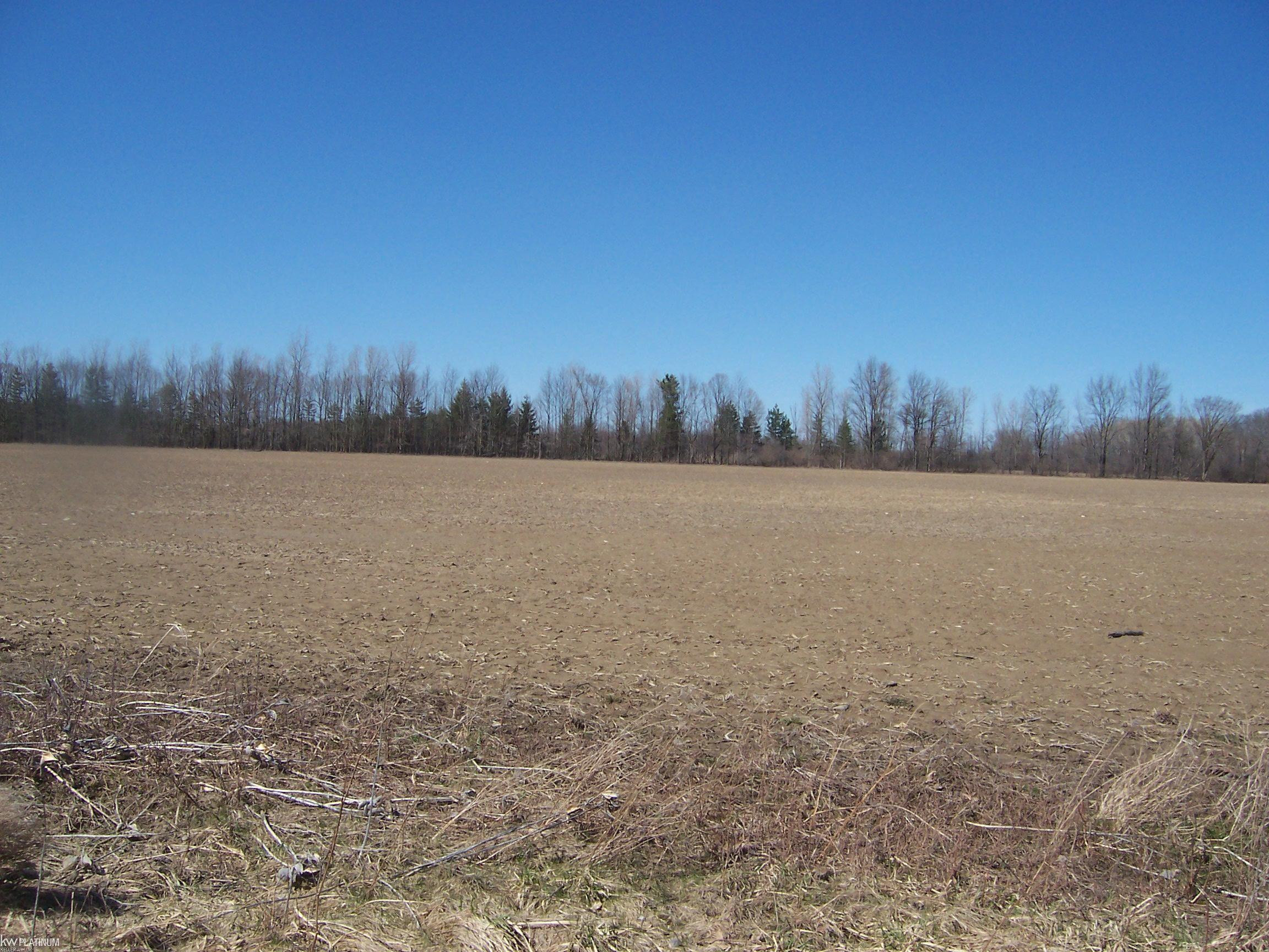 Lot 2 Beard Rd Road, Avoca, MI 48006 — Photo 2