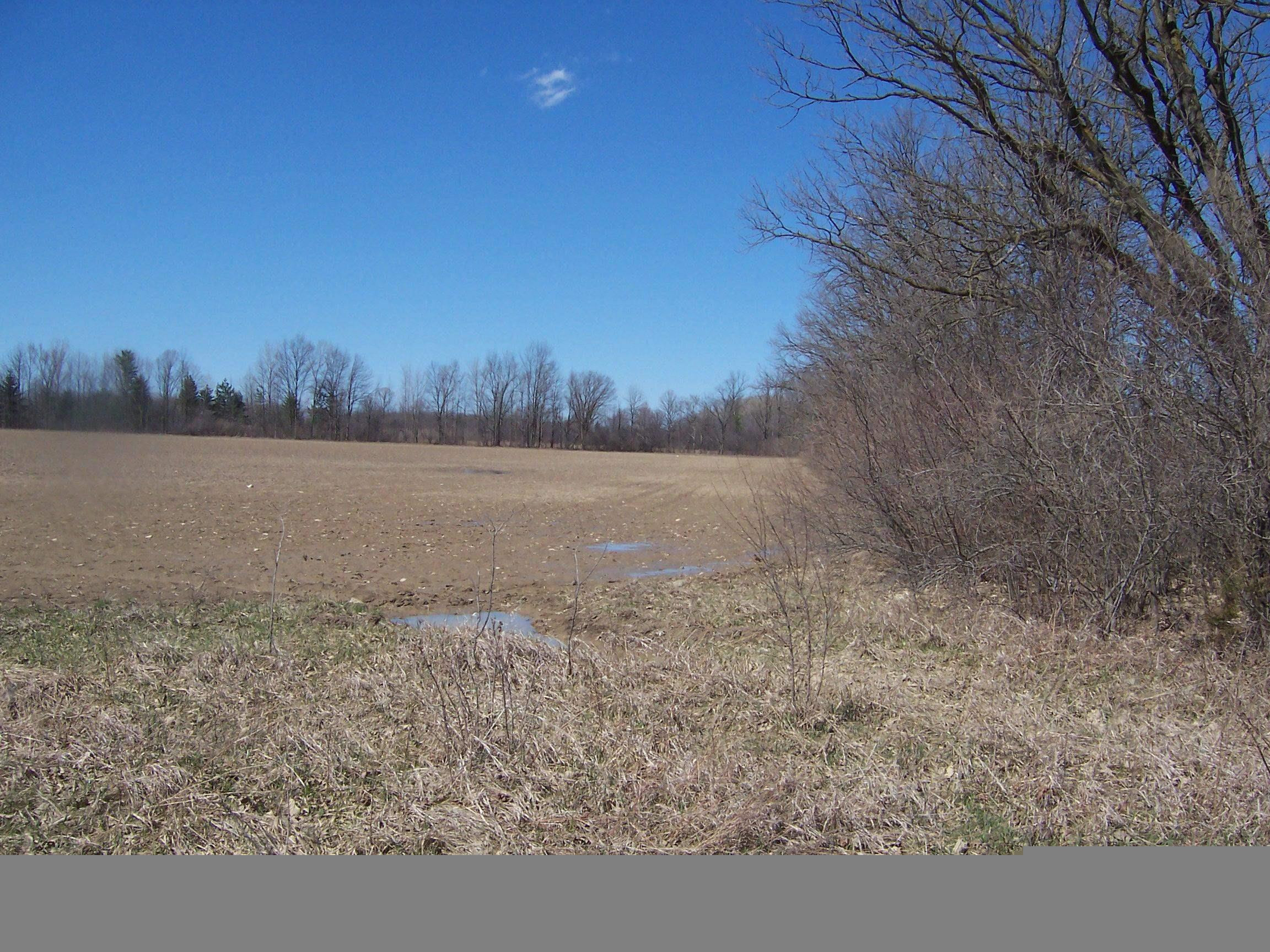 Lot 1 Beard Rd Road, Avoca, MI 48006 — front exterior