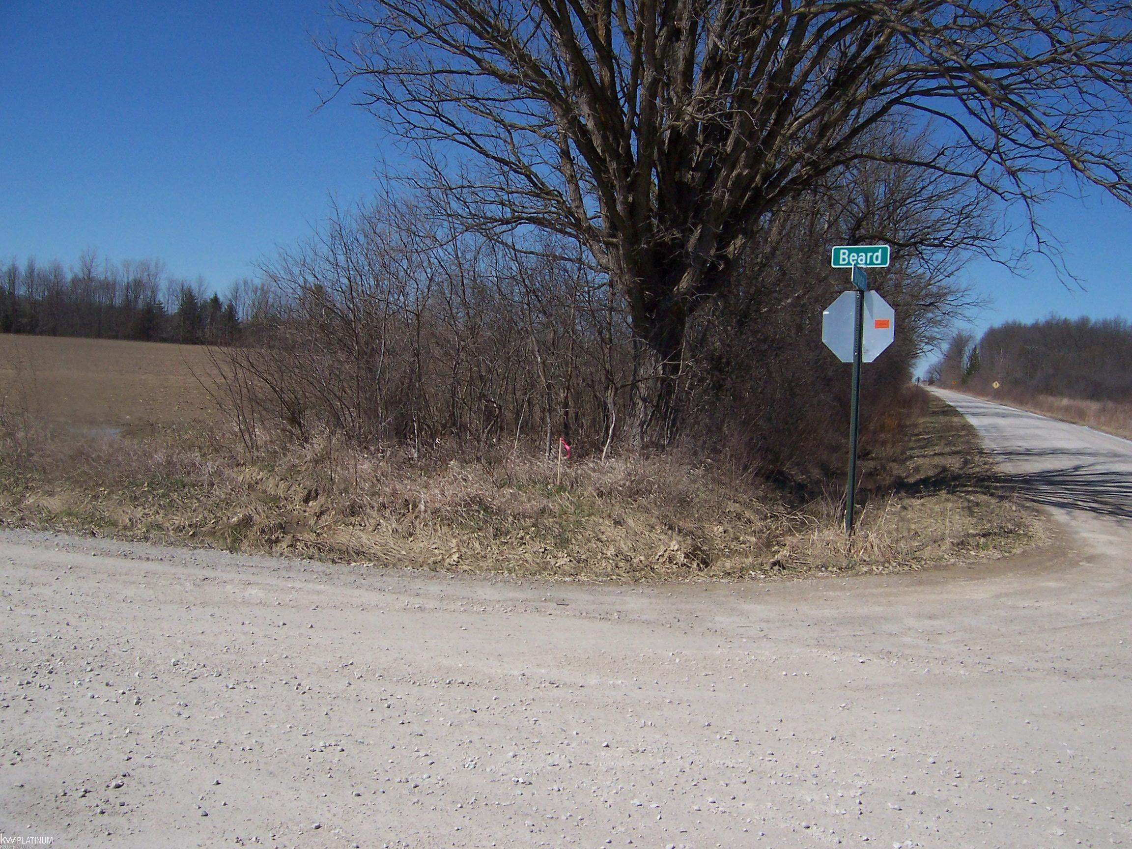Lot 1 Beard Rd Road, Avoca, MI 48006 — Photo 2