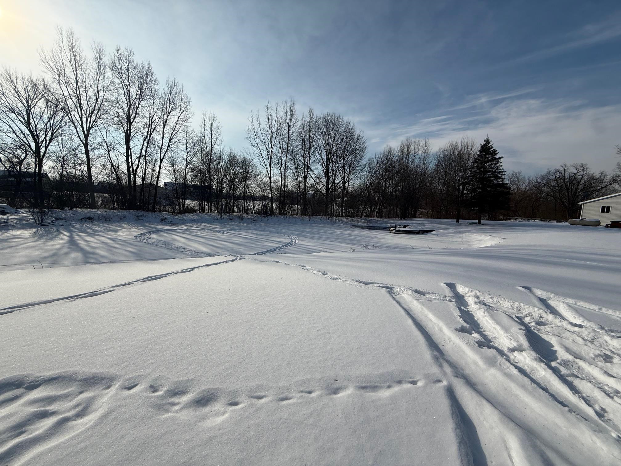 12160 Neff Road, Clio, MI 48420 — Photo 4