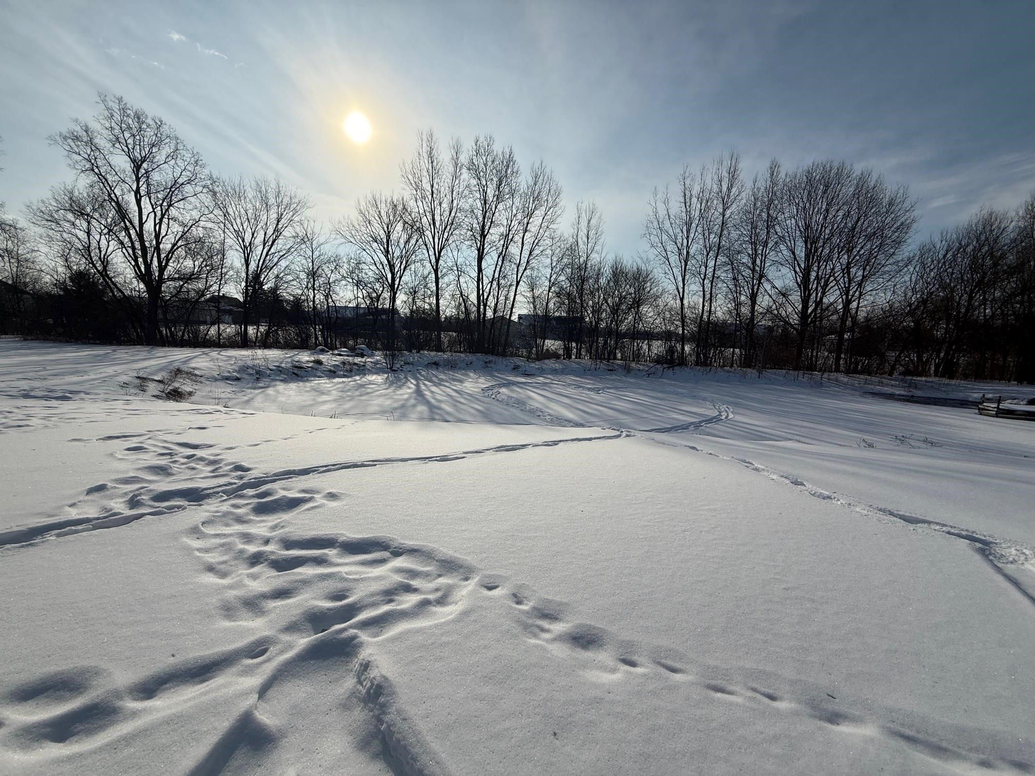 12160 Neff Road, Clio, MI 48420 — Photo 6