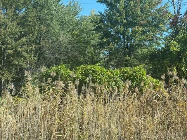 021 Mile Rd 21 Mile Road, MI 48047 — Photo 3