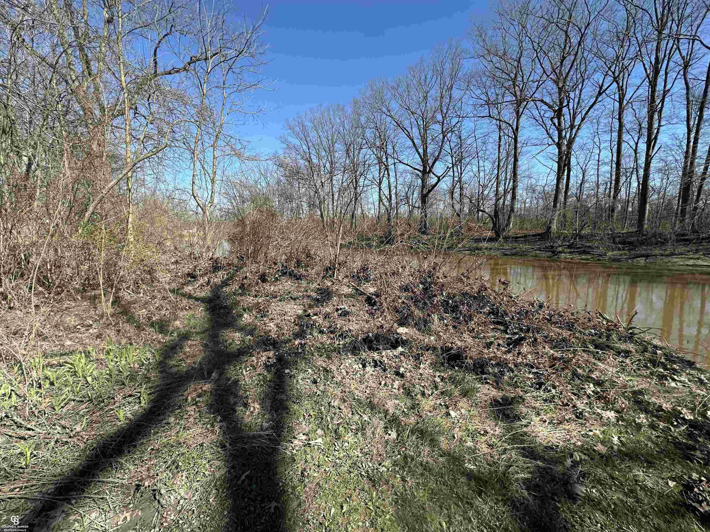 0 woodland ln Lane, MI