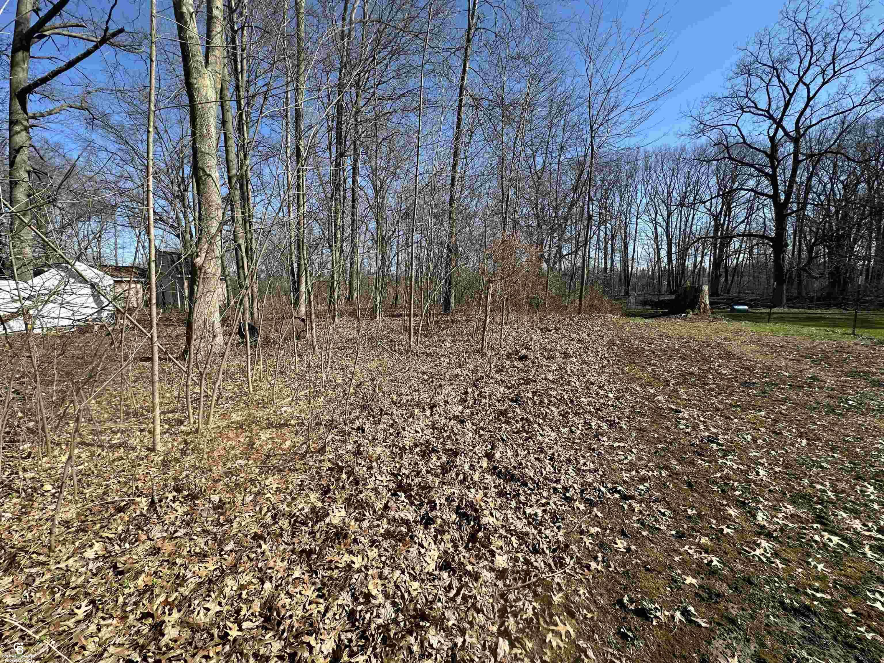 0 woodland ln Lane, MI — Photo 2