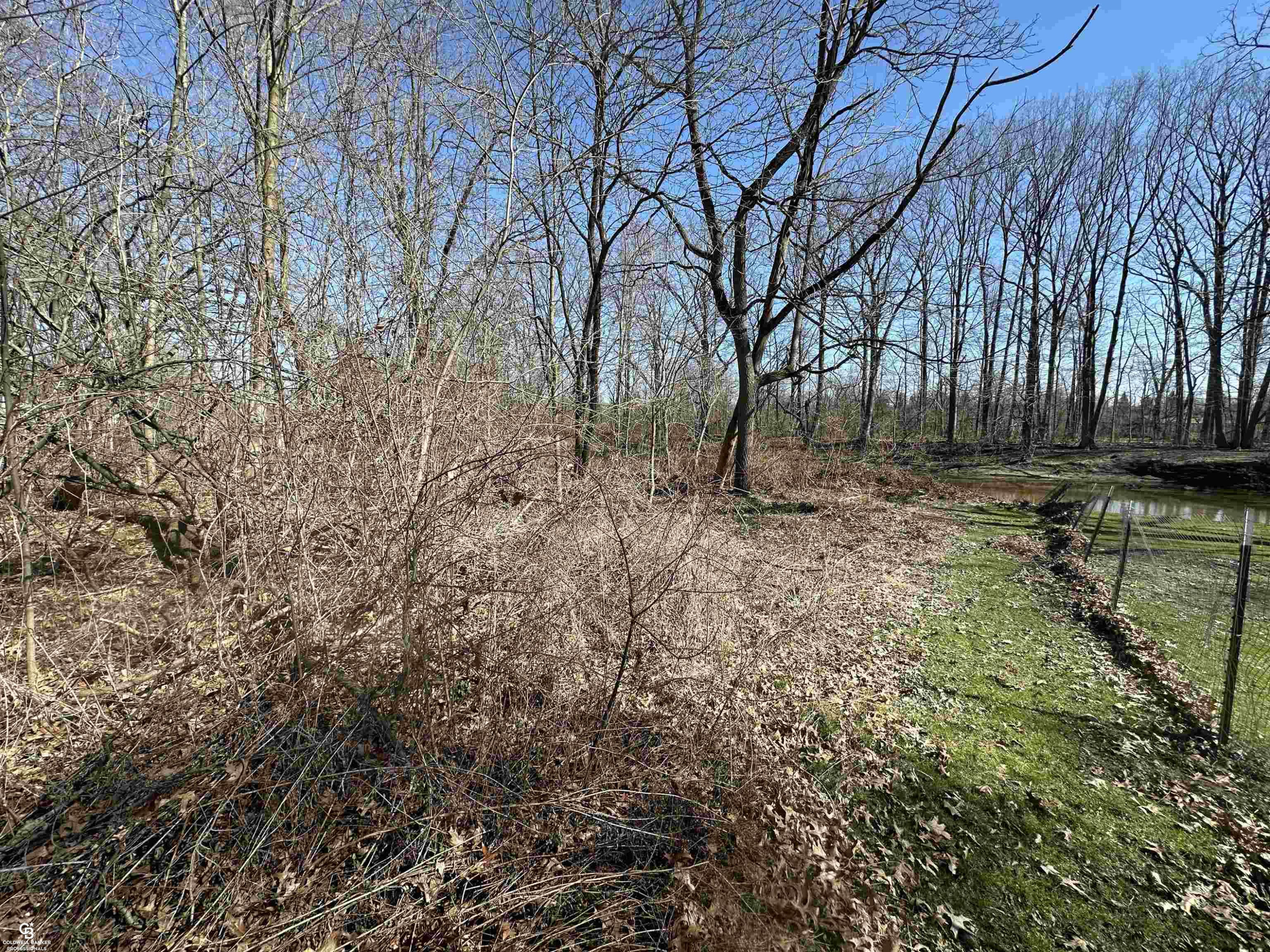 0 woodland ln Lane, MI — Photo 6