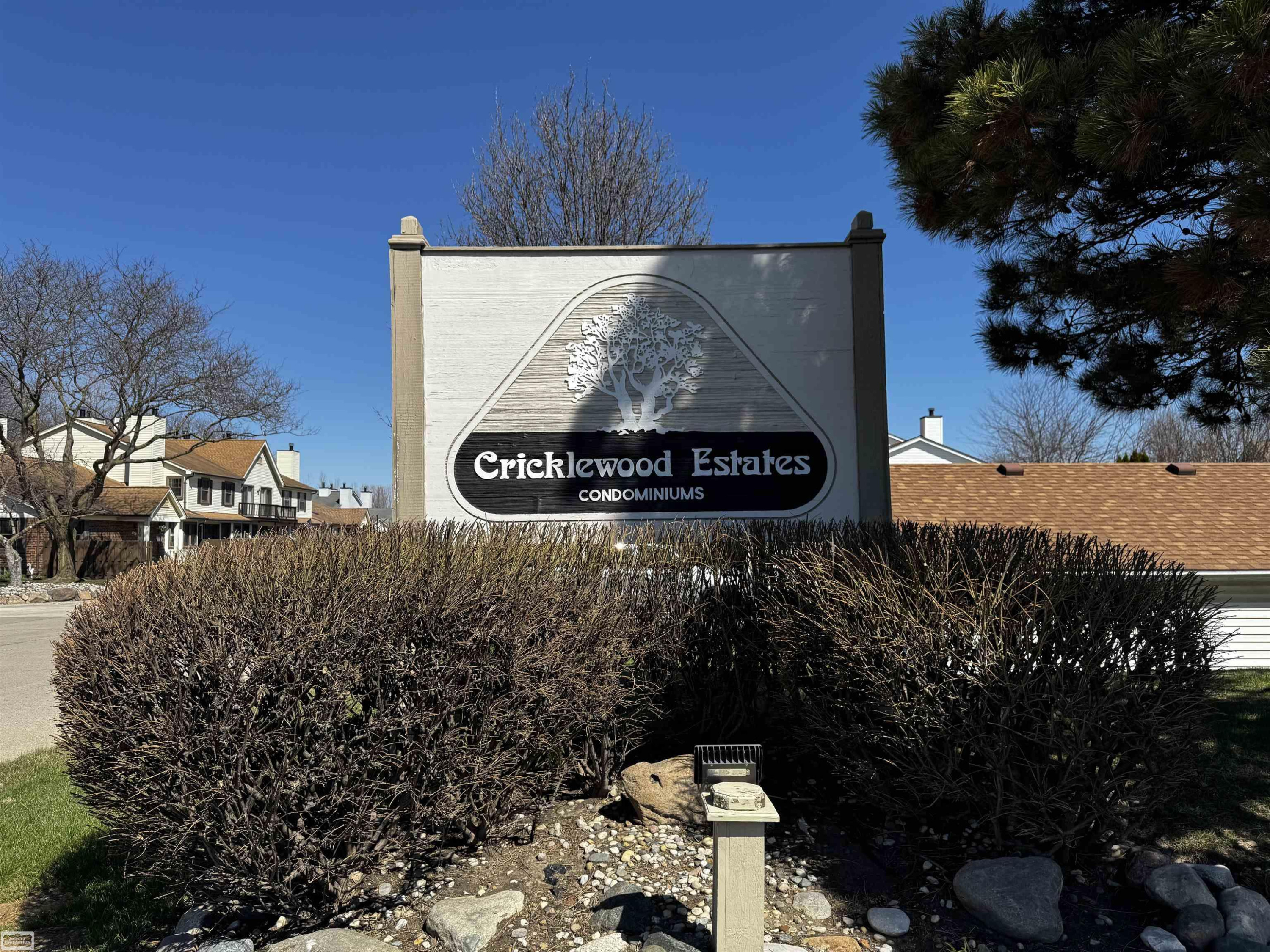 34635 W Marino Court, MI 48047 — Photo 3