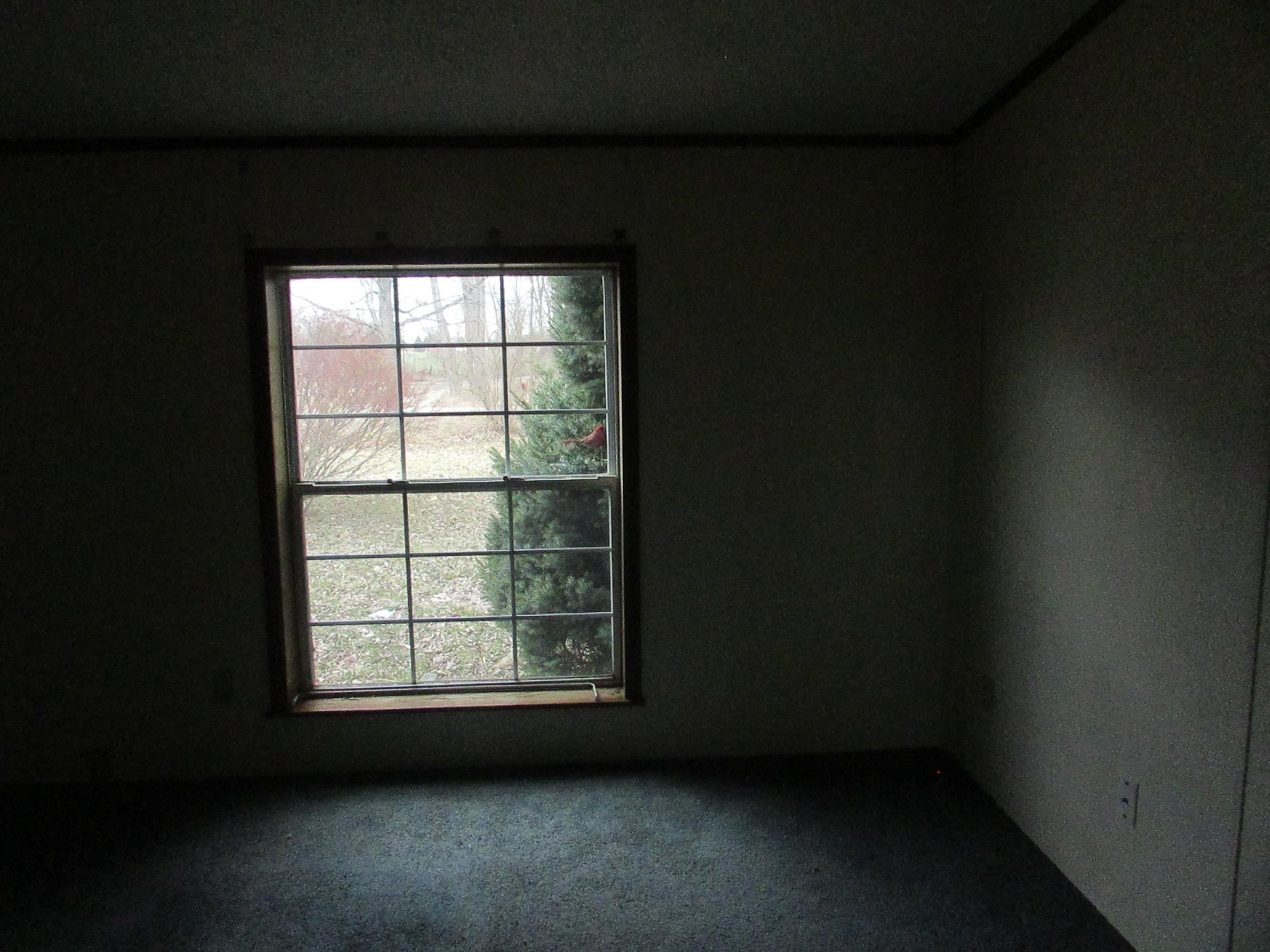 6077 Hibbard Road, Corunna, MI 48817 — Photo 29