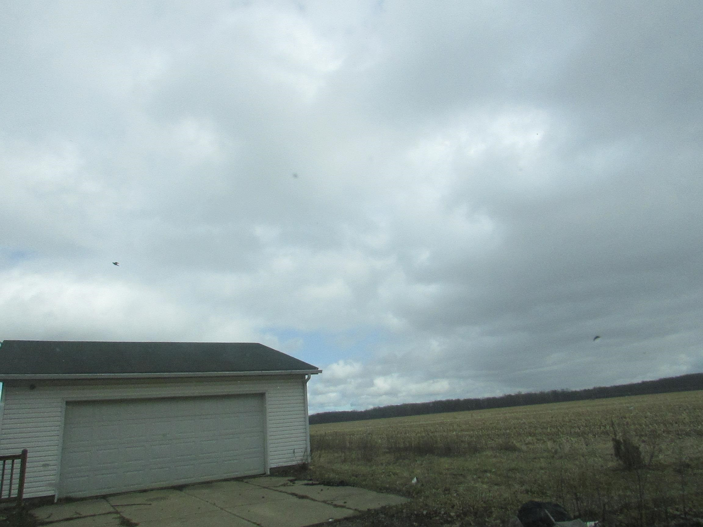 6077 Hibbard Road, Corunna, MI 48817 — Photo 4
