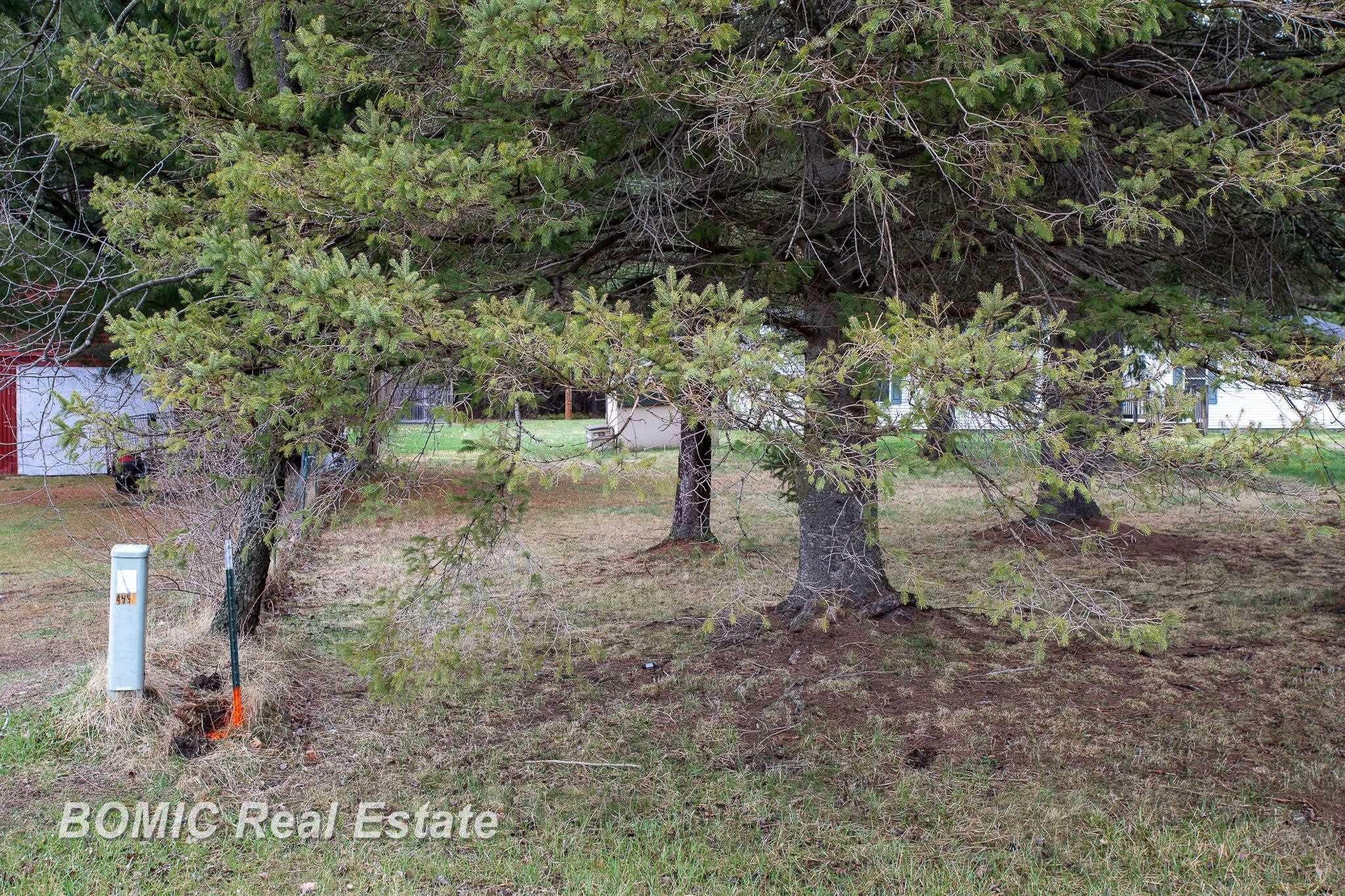 4562 Hanes Road, Vassar, MI 48768 — Photo 19