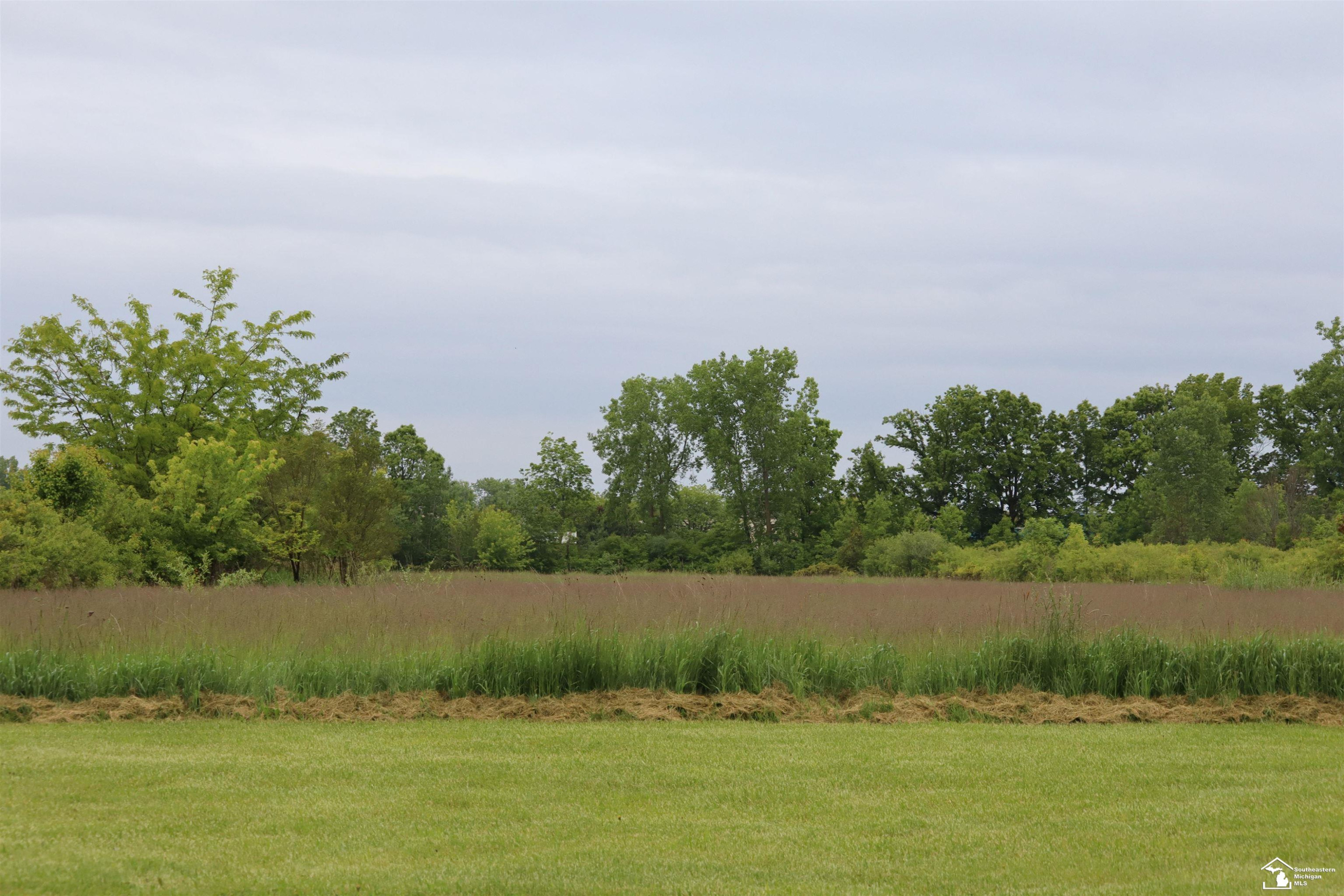 163 E Sterns Road, Temperance, MI 48182 — Photo 3