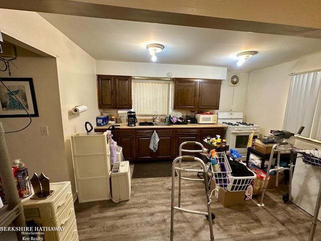 20471 Nicke Street, Clinton Twp, MI 48035 — Photo 7