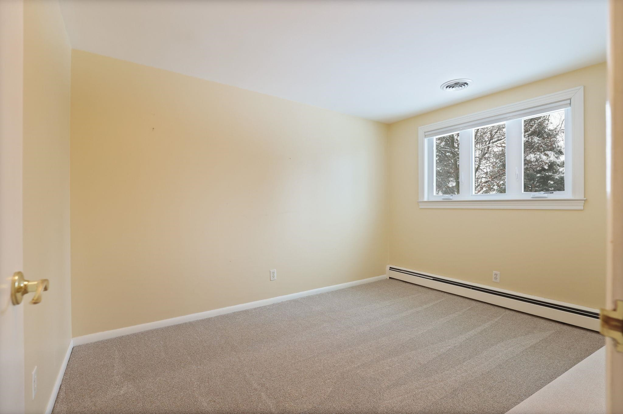 235 Cherry Street, Frankenmuth, MI 48734 — Photo 37
