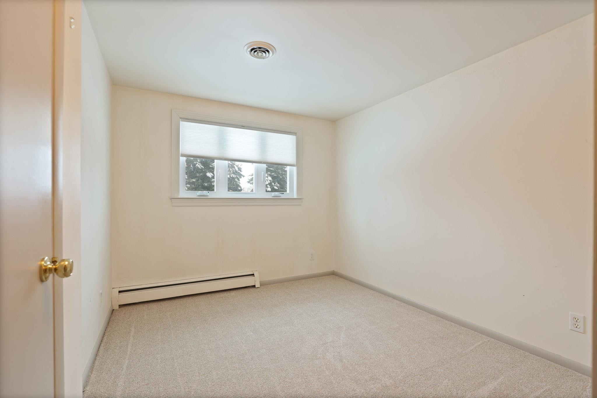 235 Cherry Street, Frankenmuth, MI 48734 — Photo 38