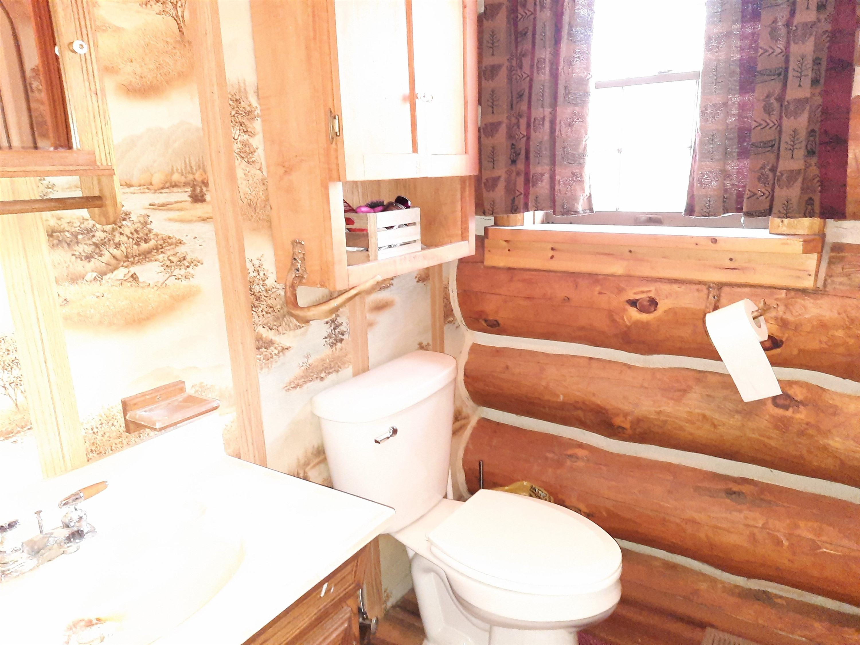 4720 E Nestel Road, MI 48656 — Photo 37