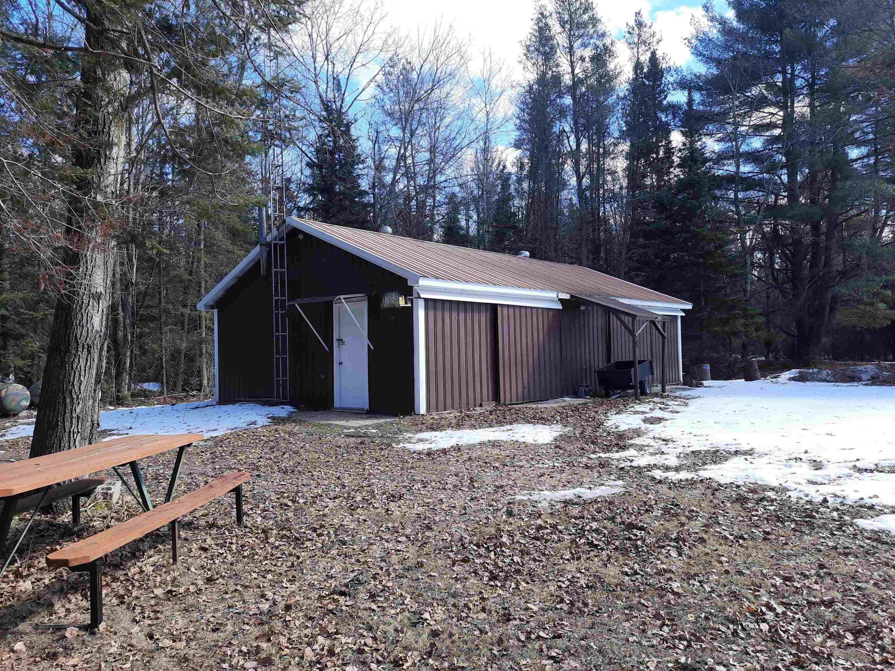 4720 E Nestel Road, MI 48656 — Photo 49