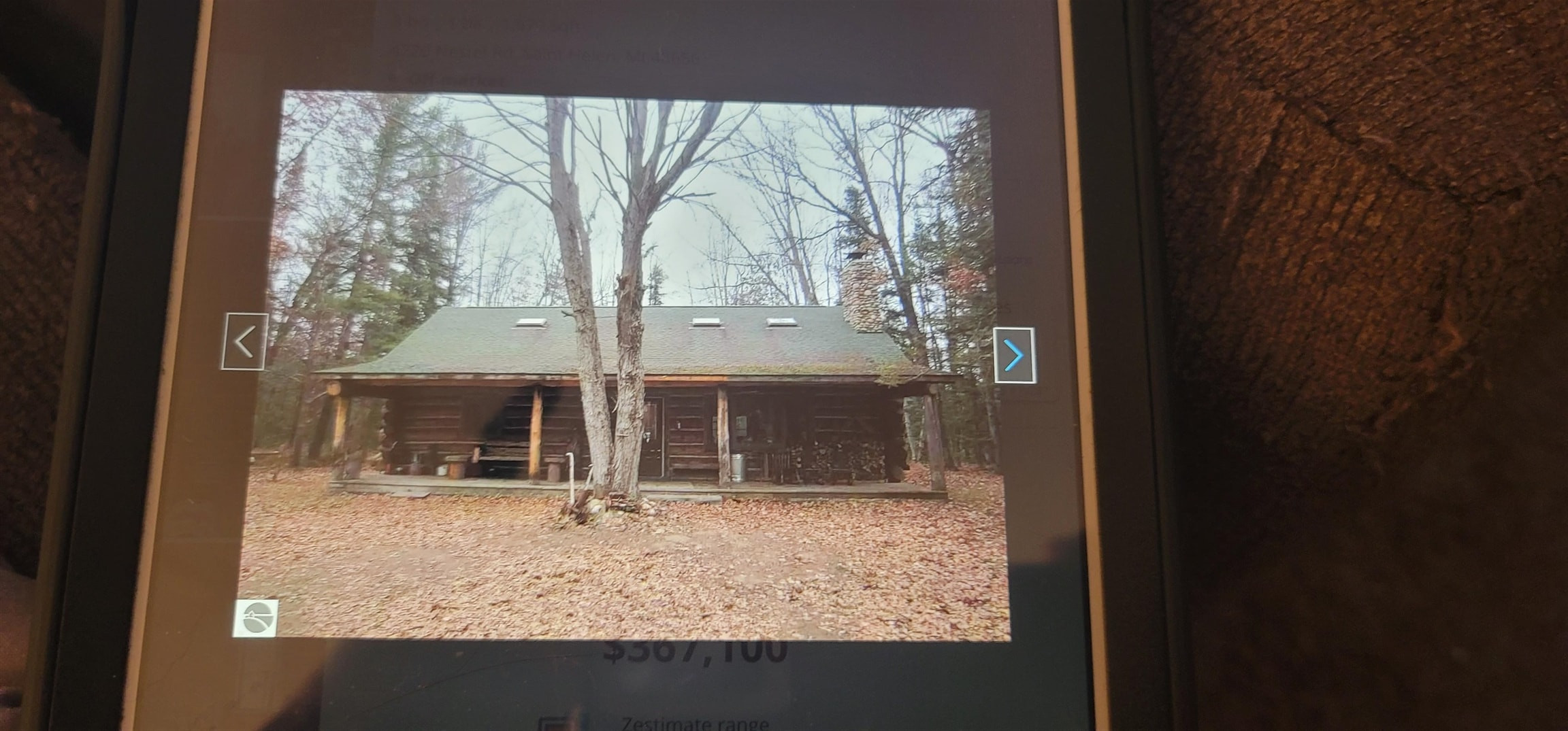 4720 E Nestel Road, MI 48656 — Photo 75