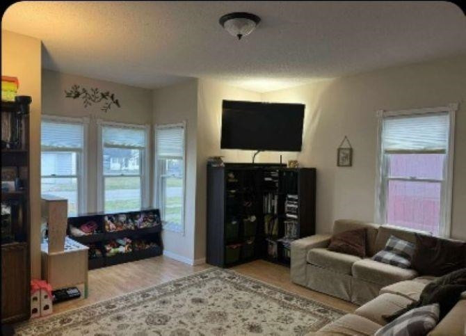 216 S Chapman Street, Chesaning, MI 48616 — Photo 15