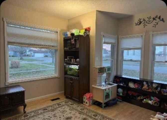 216 S Chapman Street, Chesaning, MI 48616 — Photo 22