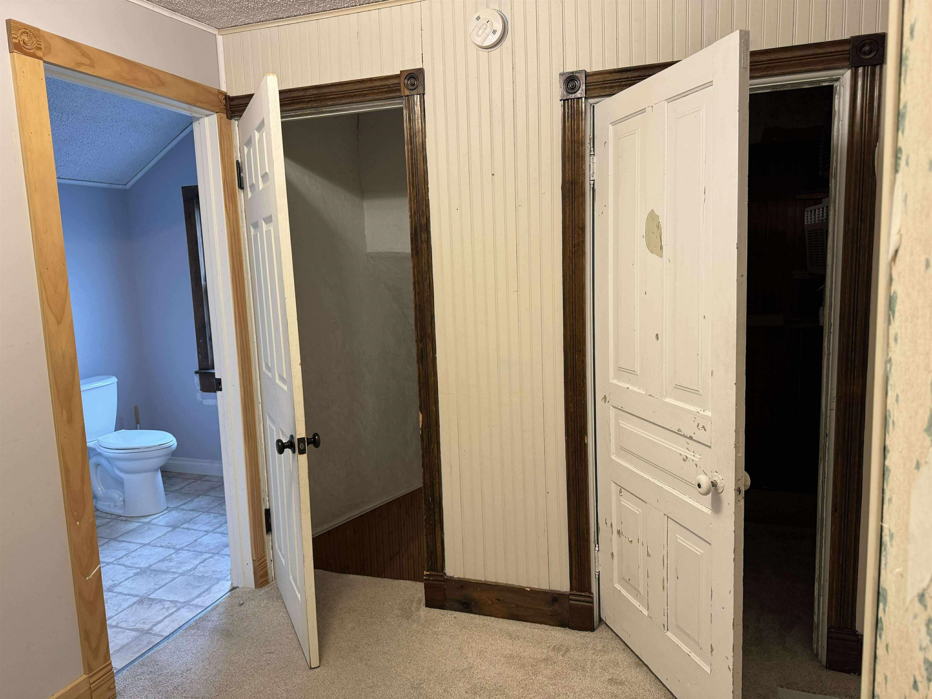 216 S Chapman Street, Chesaning, MI 48616 — Photo 27