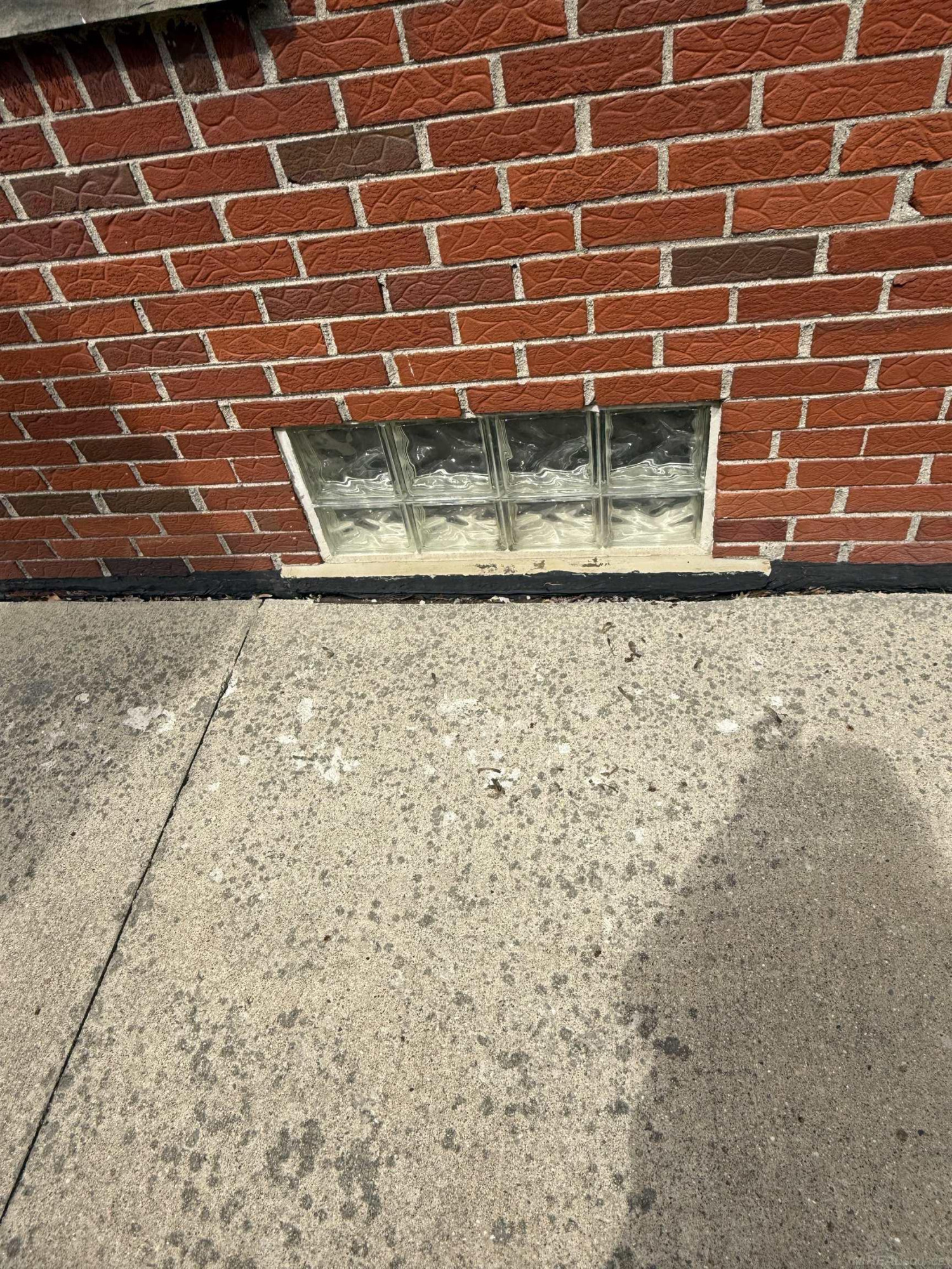 24243 Petersburg Avenue, Eastpointe, MI 48021 — Photo 9