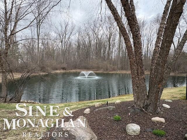 25590 Sun Sail Court, MI — Photo 39