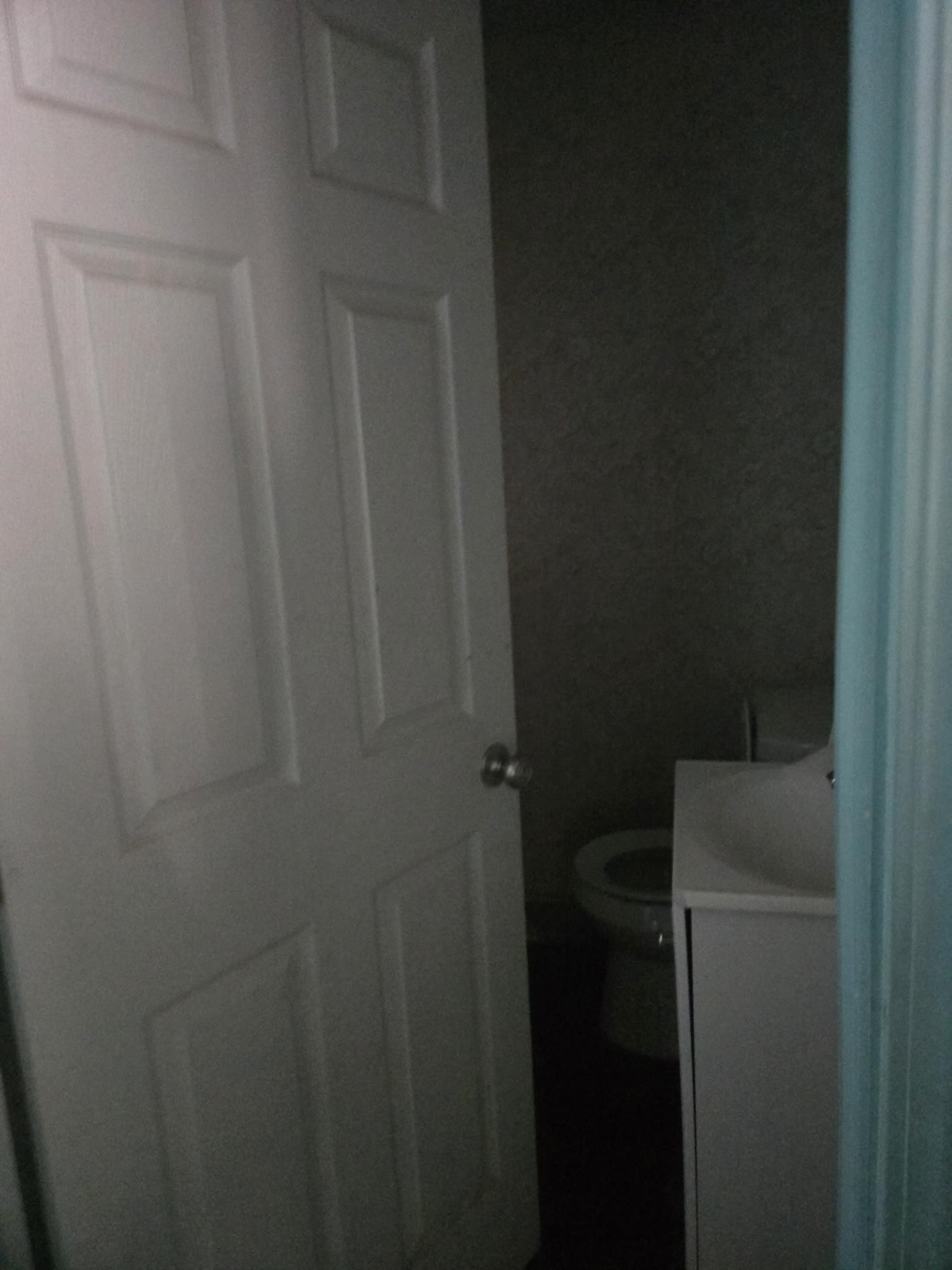 700 E Mount Morris Street, MI 48458 — Photo 13