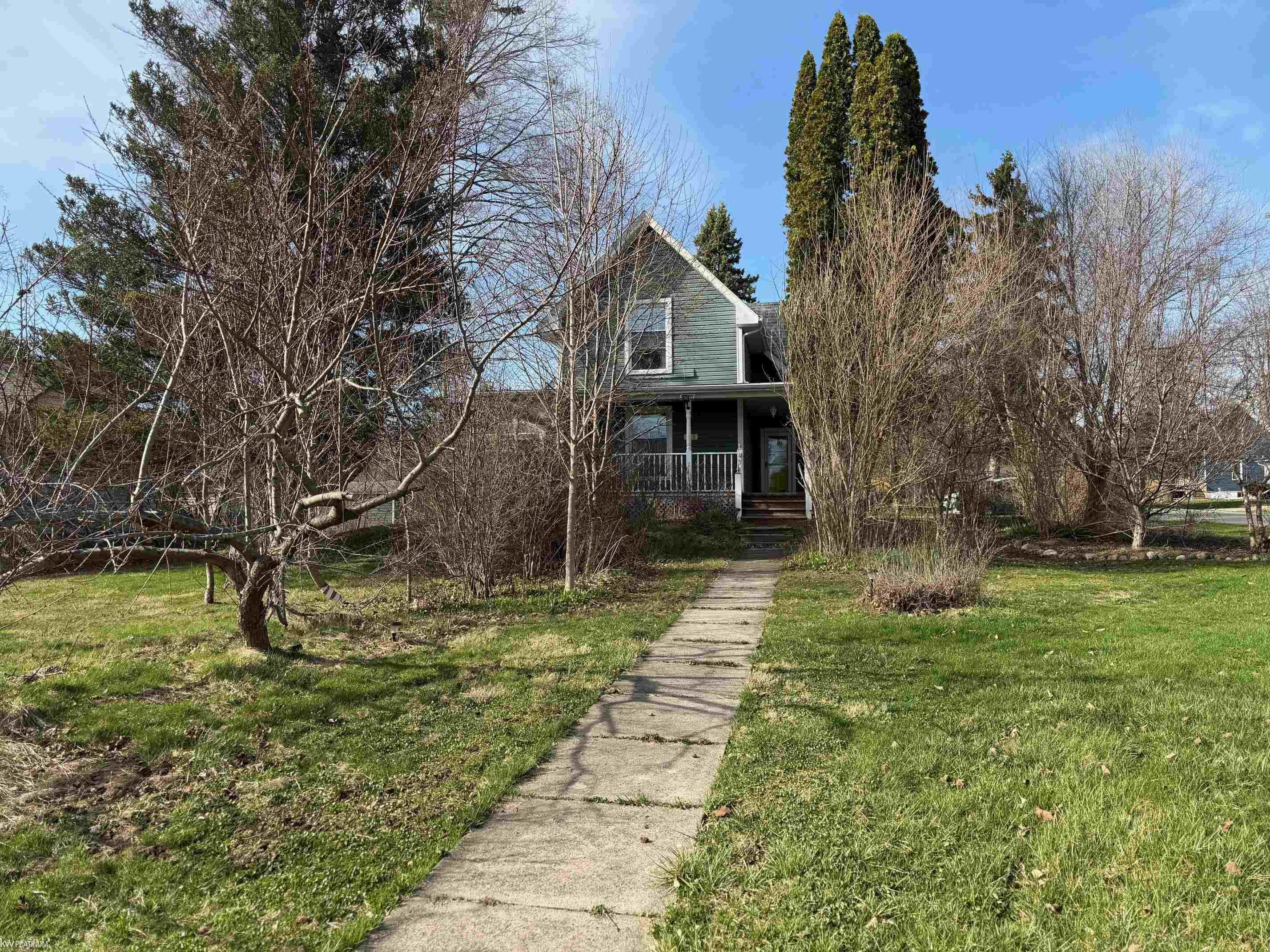 215 North Street, Yale, MI 48097 — Photo 3