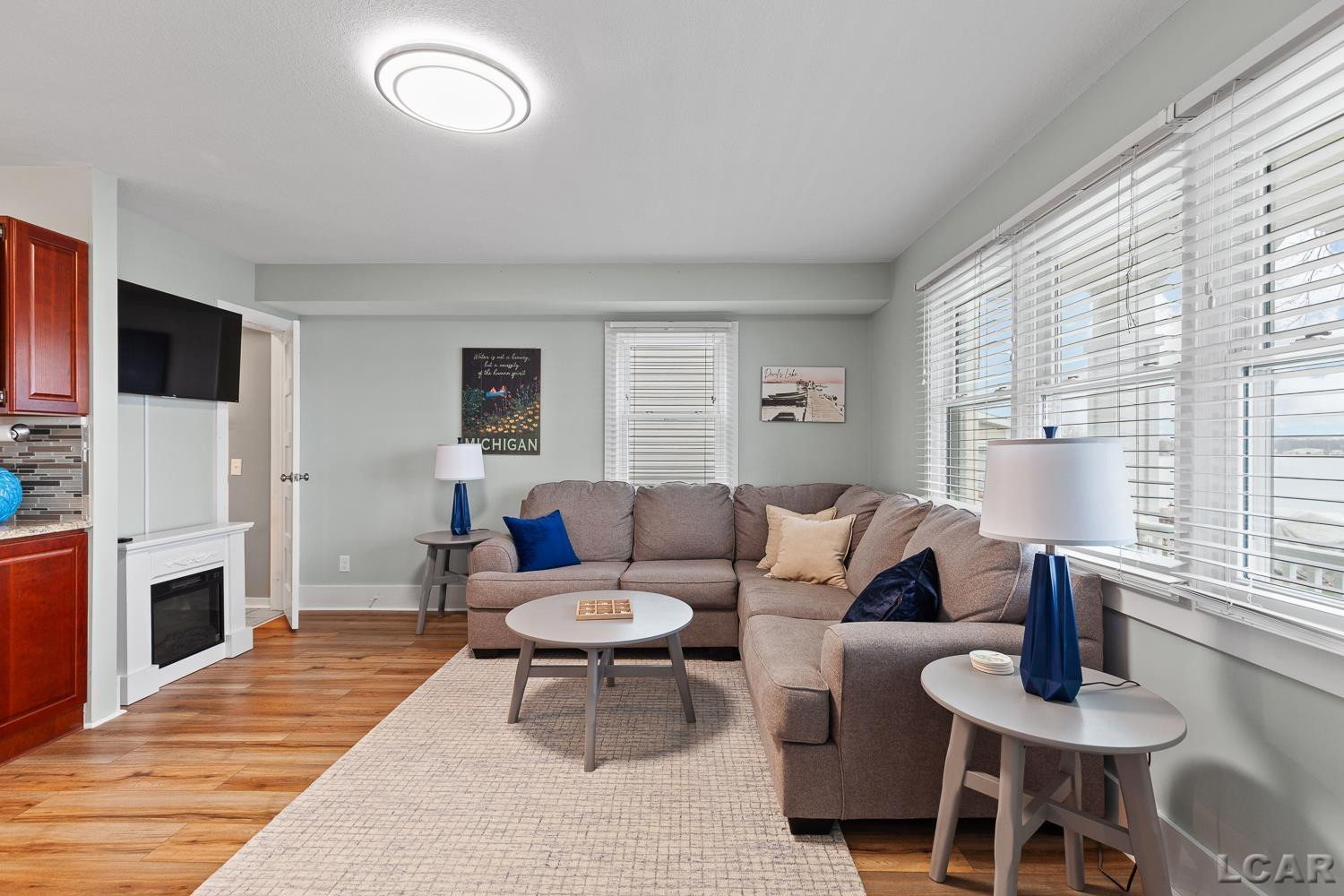 360 Park Street, Manitou Beach, MI 49253 — Photo 10