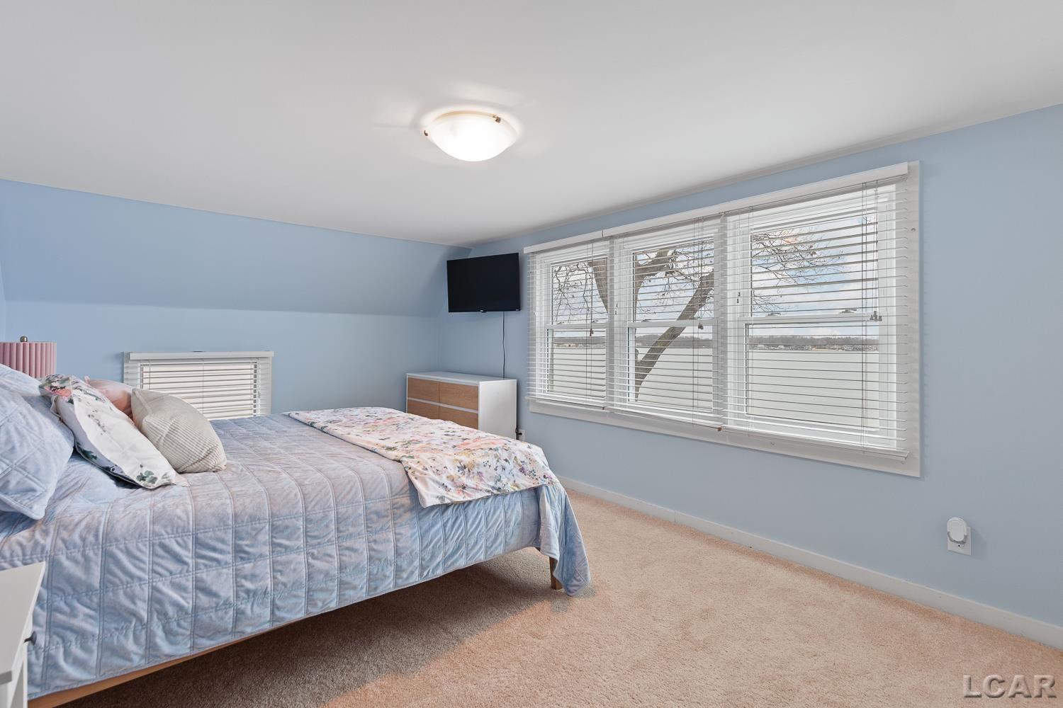 360 Park Street, Manitou Beach, MI 49253 — Photo 31