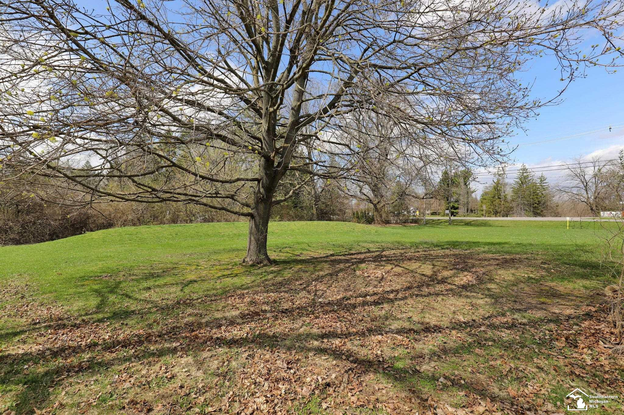 695 N Cedar Street, Mason, MI 48854 — Photo 38