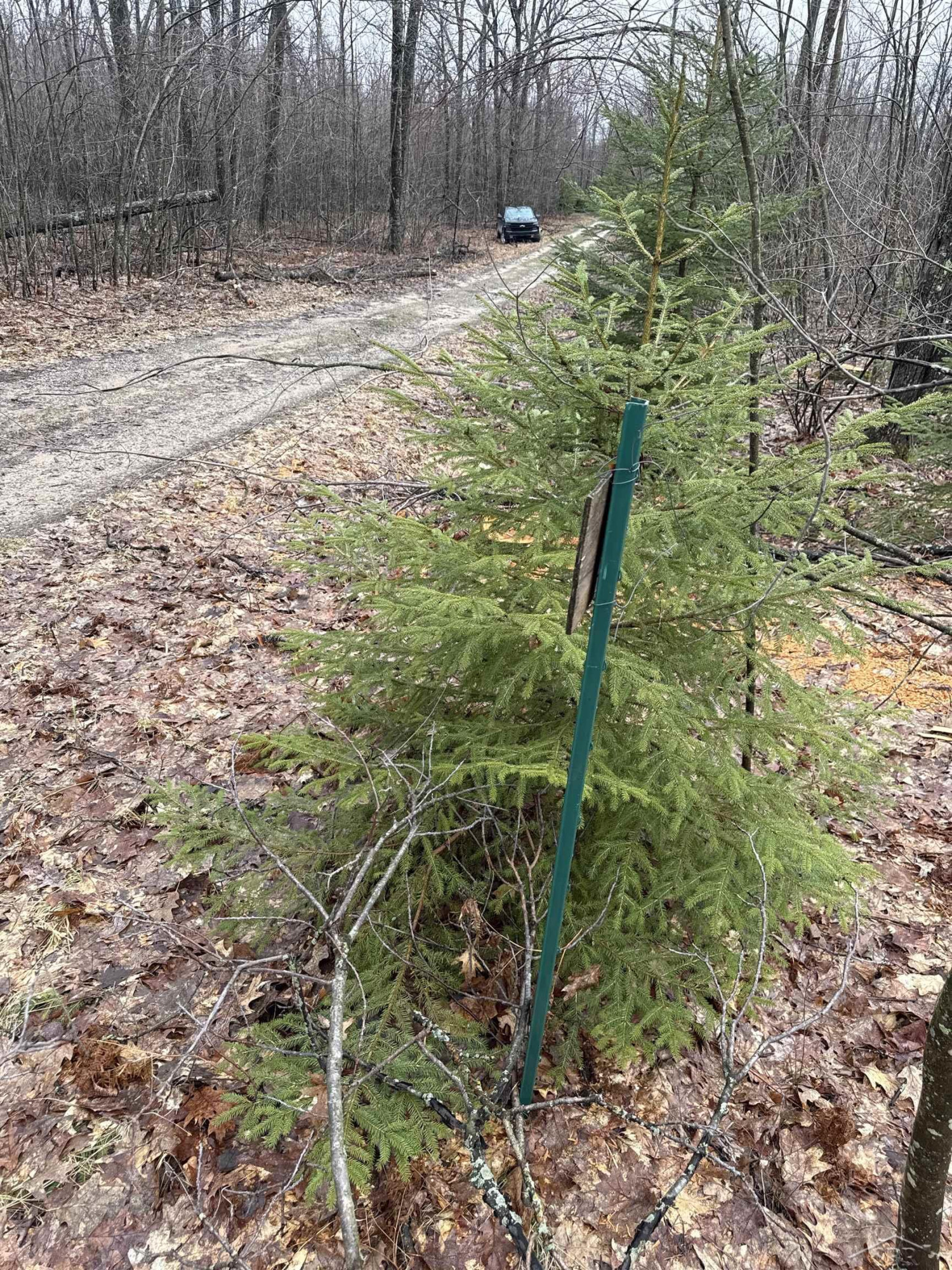 VL Camp Domino Trail, Hillman, MI 49746 — front exterior