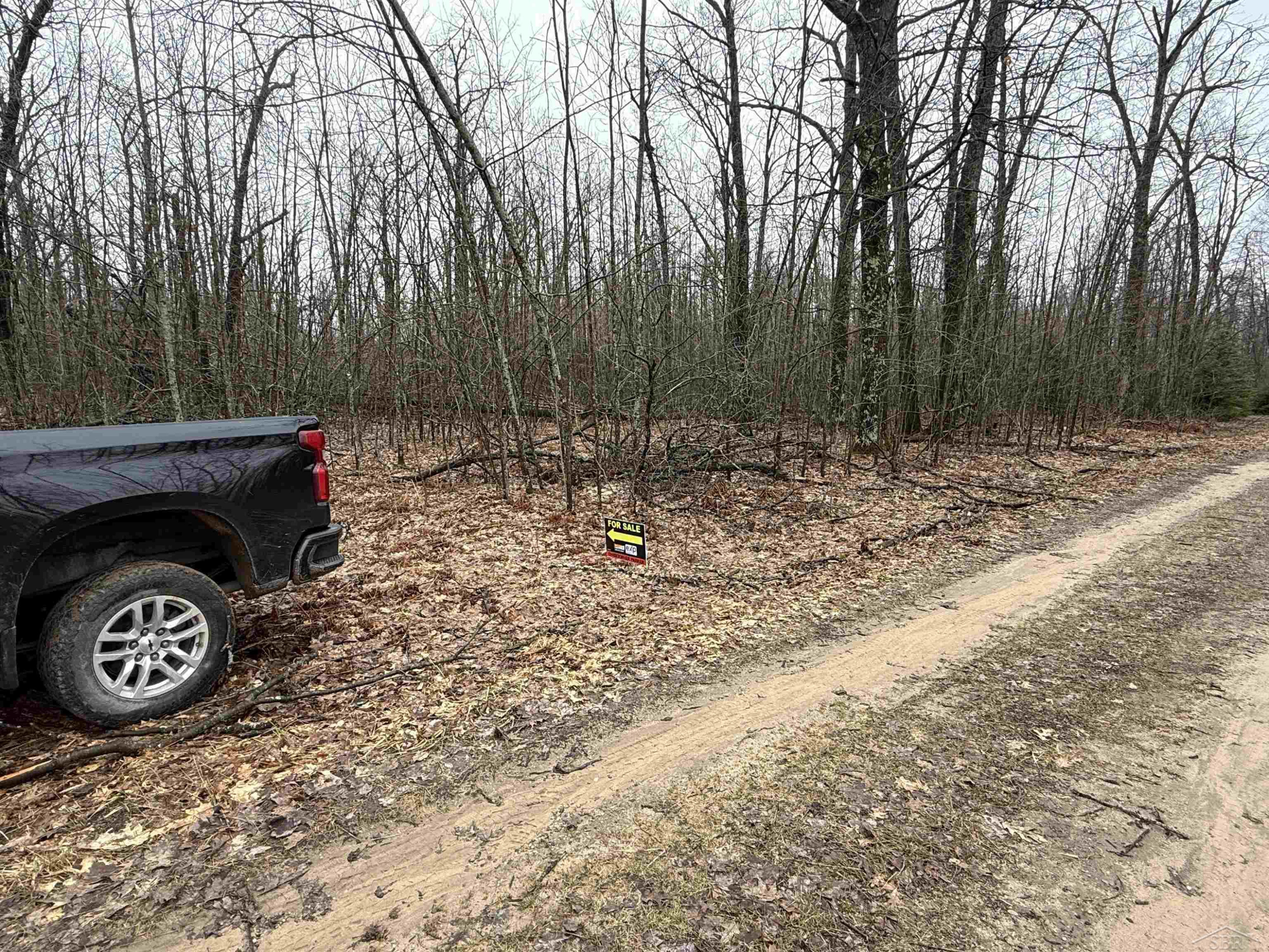 VL Camp Domino Trail, Hillman, MI 49746 — Photo 2