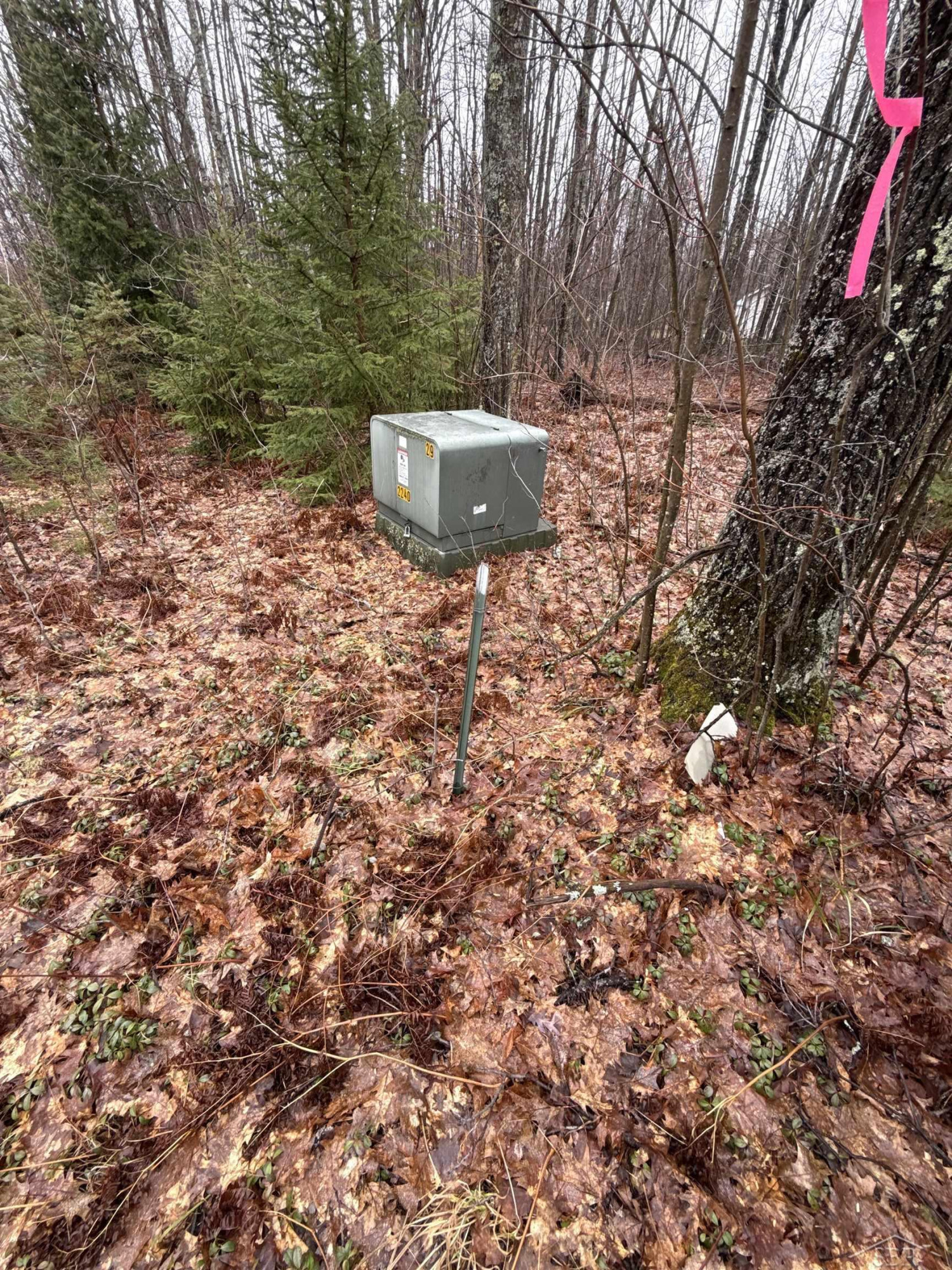 VL Camp Domino Trail, Hillman, MI 49746 — Photo 4