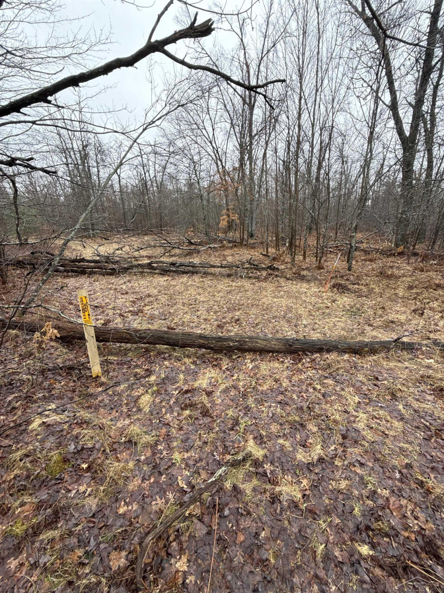 VL Camp Domino Trail, Hillman, MI 49746 — Photo 6