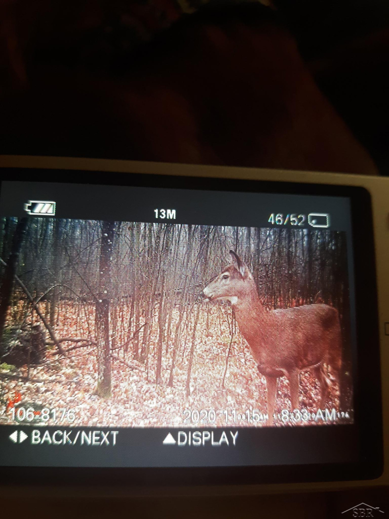 VL Camp Domino Trail, Hillman, MI 49746 — Photo 9