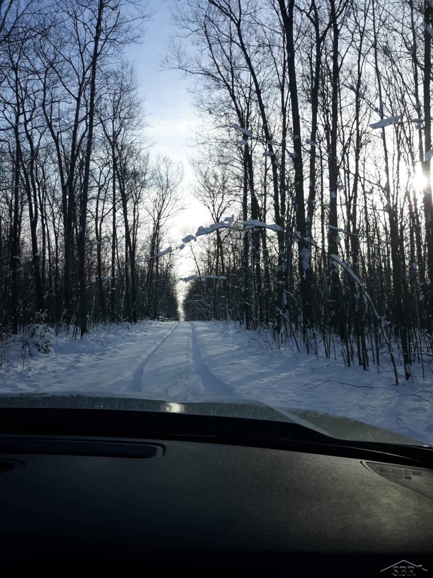 VL Camp Domino Trail, Hillman, MI 49746 — Photo 10