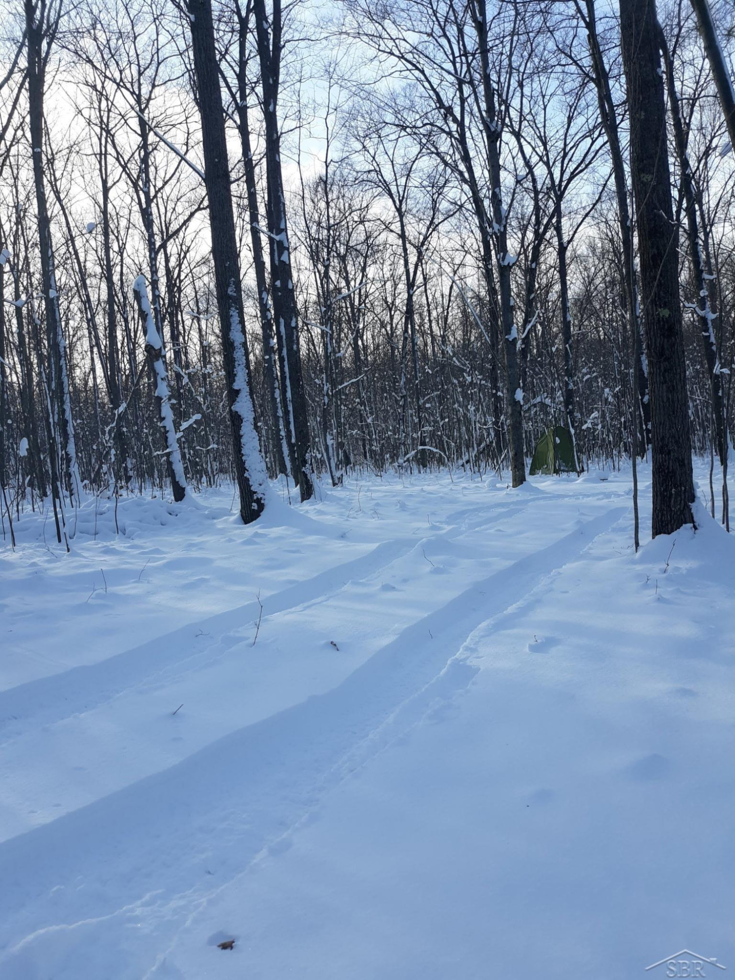 VL Camp Domino Trail, Hillman, MI 49746 — Photo 11