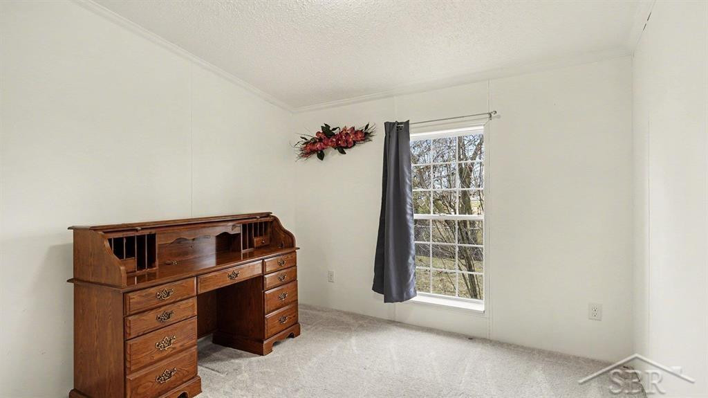 5456 Mangus Road, Beaverton, MI 48612 — Photo 8