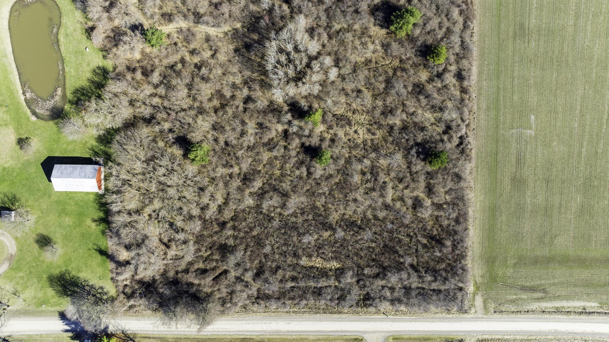 VL Mortimer Line Road, Croswell, MI 48422 — Photo 5