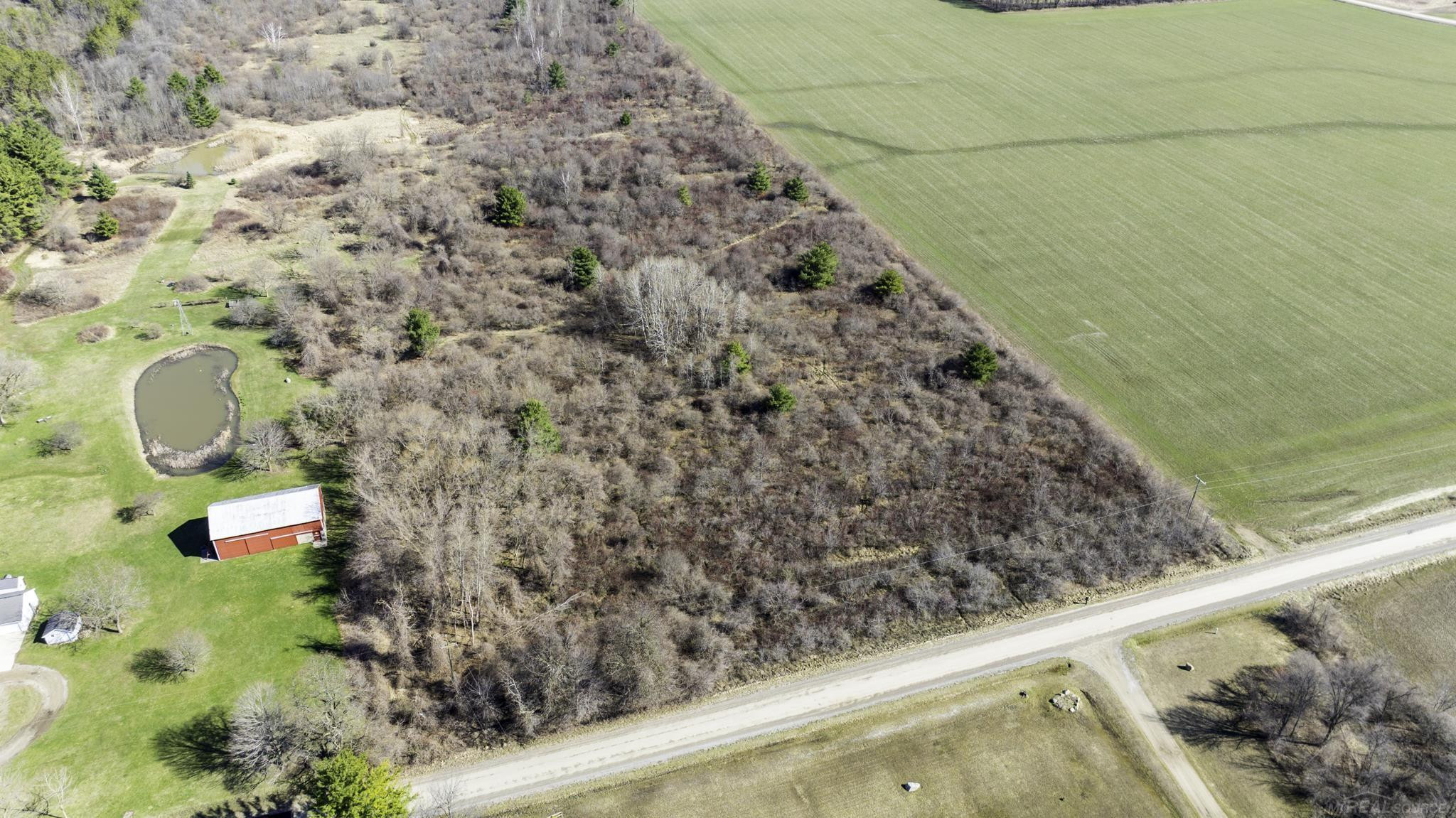 VL Mortimer Line Road, Croswell, MI 48422 — Photo 7