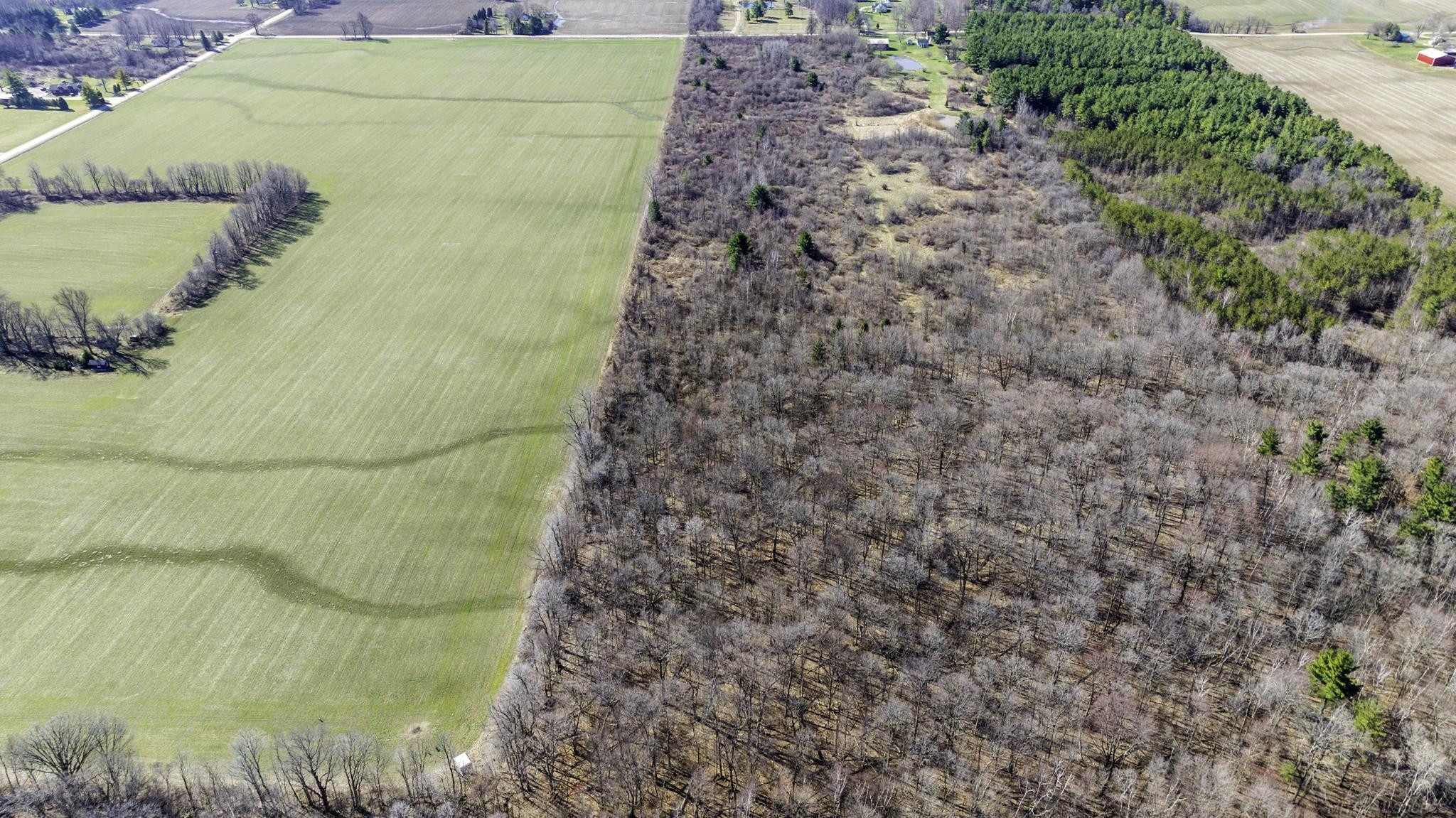 VL Mortimer Line Road, Croswell, MI 48422 — Photo 10