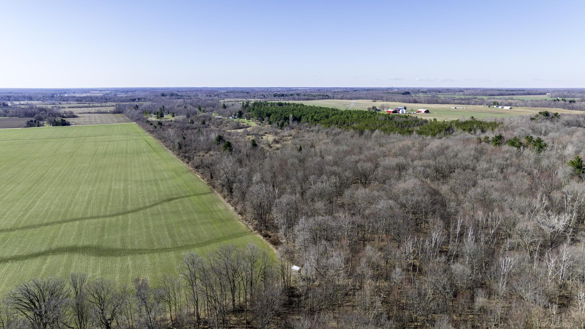 VL Mortimer Line Road, Croswell, MI 48422 — Photo 11