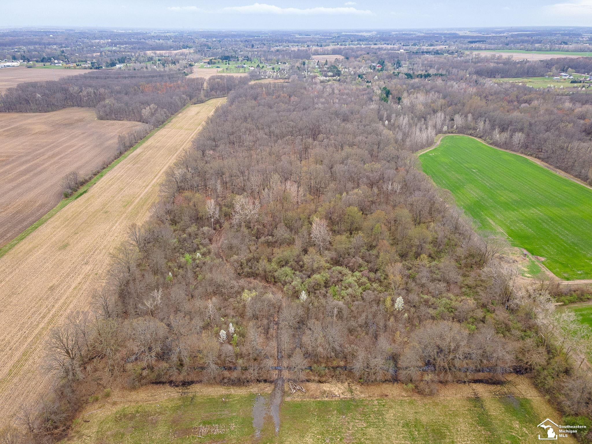 3455 W Albain Road, Monroe, MI 48161 — Photo 64