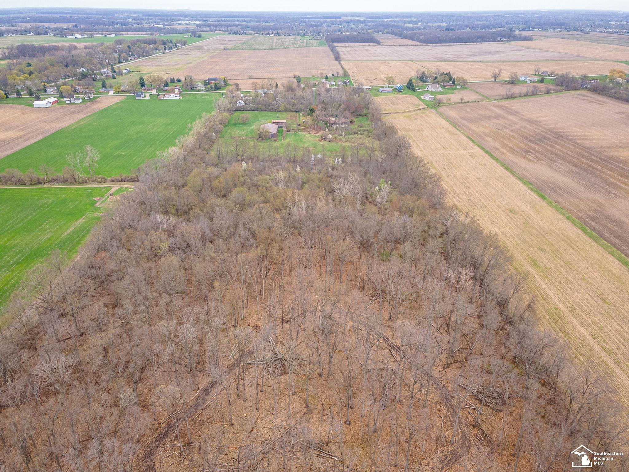 3455 W Albain Road, Monroe, MI 48161 — Photo 68