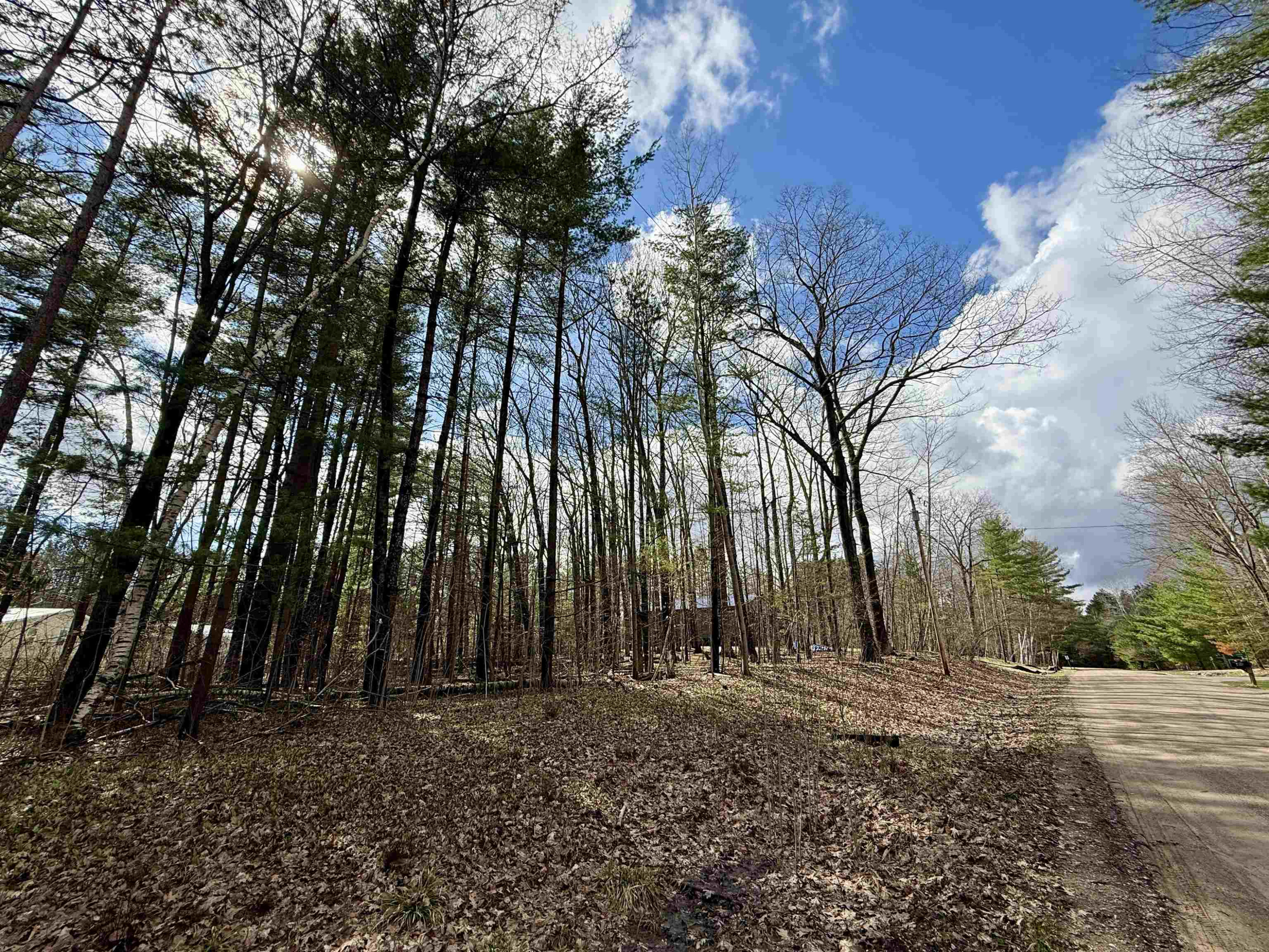 Wildwood Drive, Gladwin, MI 48624 — front exterior