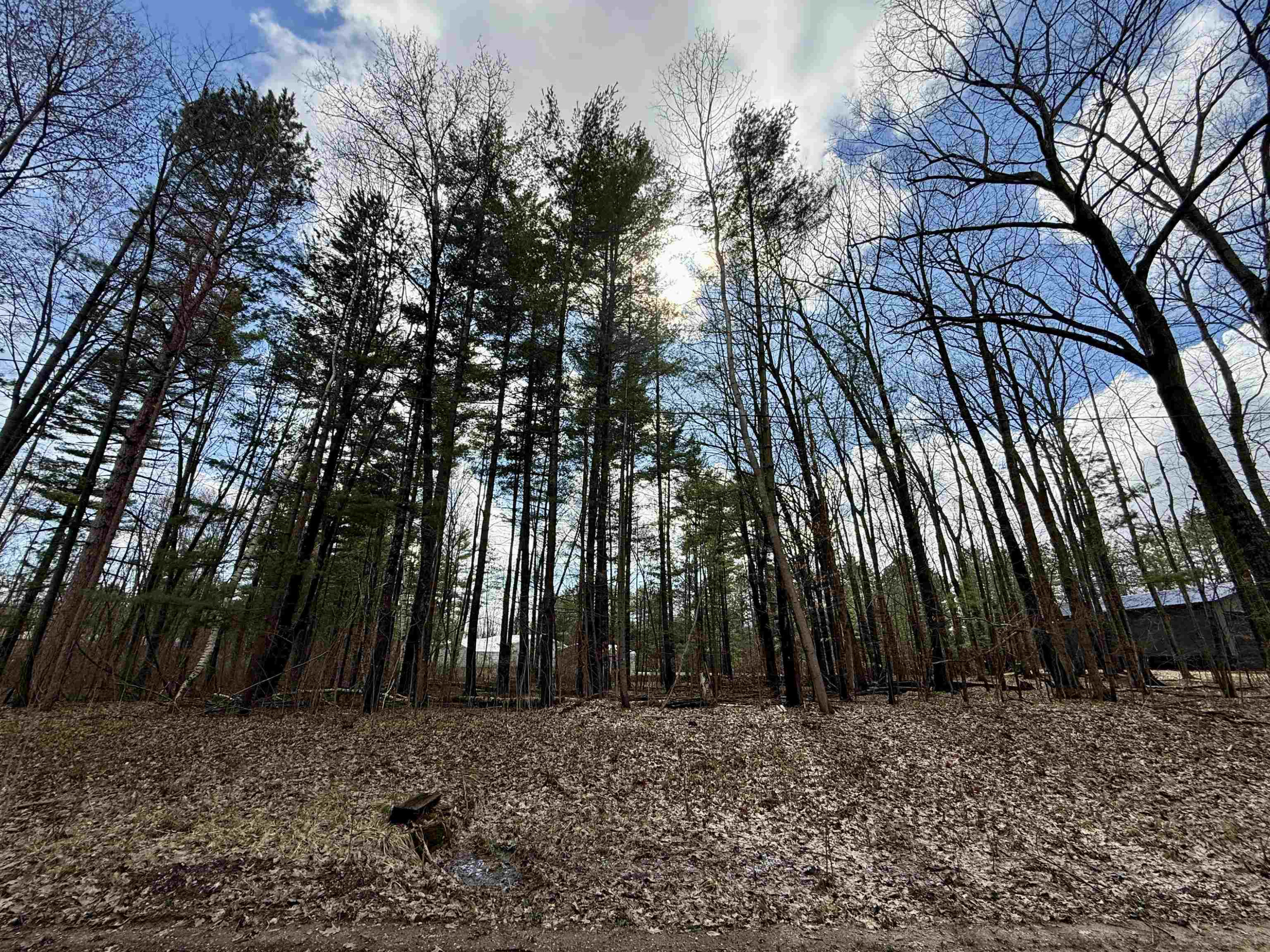 Wildwood Drive, Gladwin, MI 48624 — Photo 2