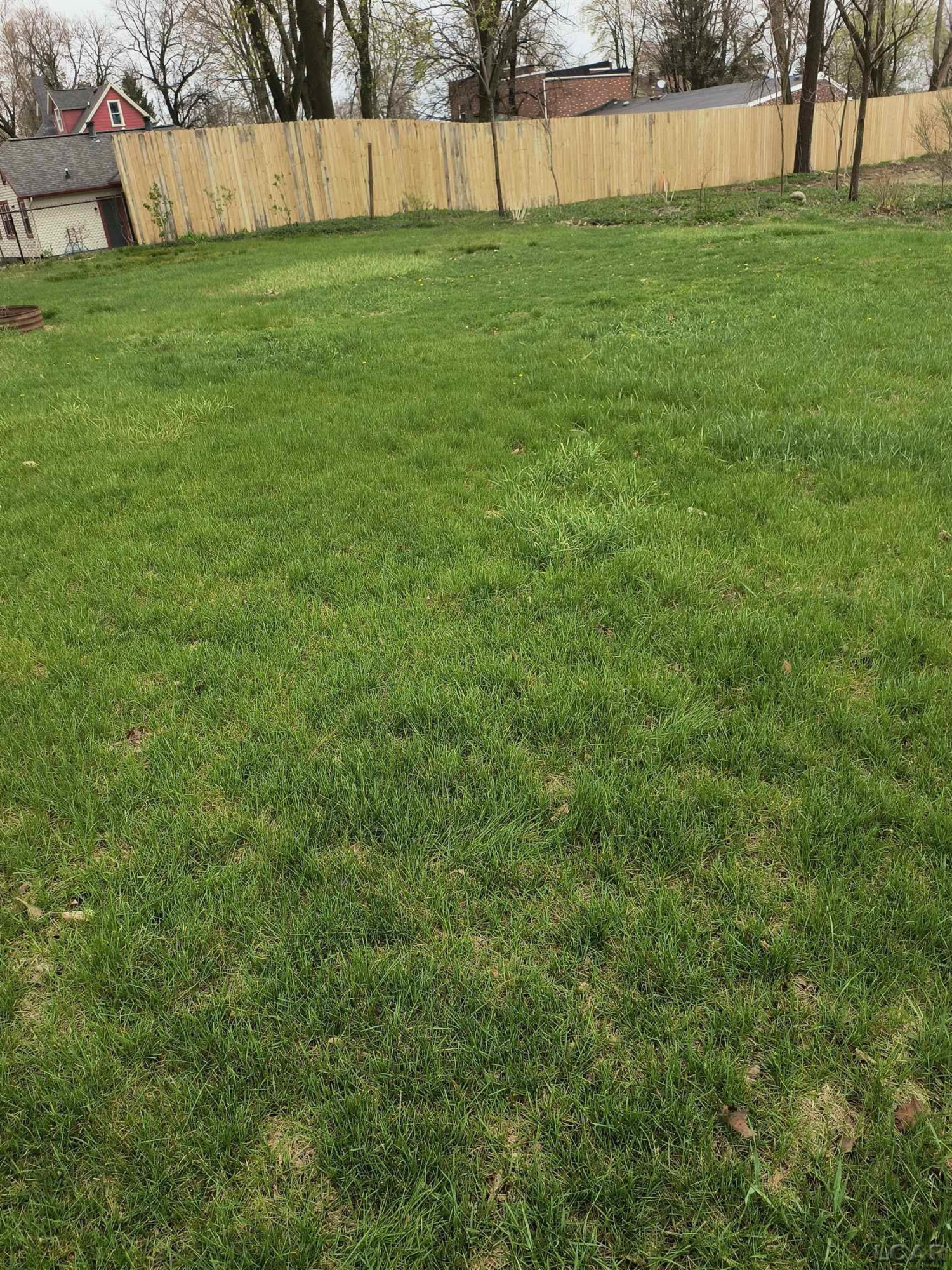 121 S King Street, Brooklyn, MI 49230 — Photo 3