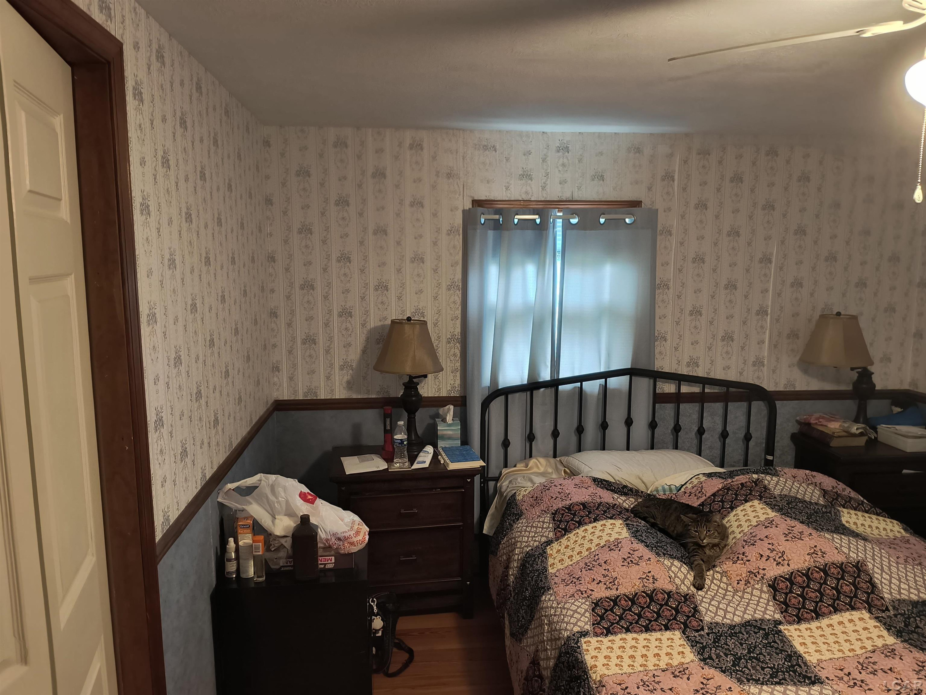 121 S King Street, Brooklyn, MI 49230 — Photo 11