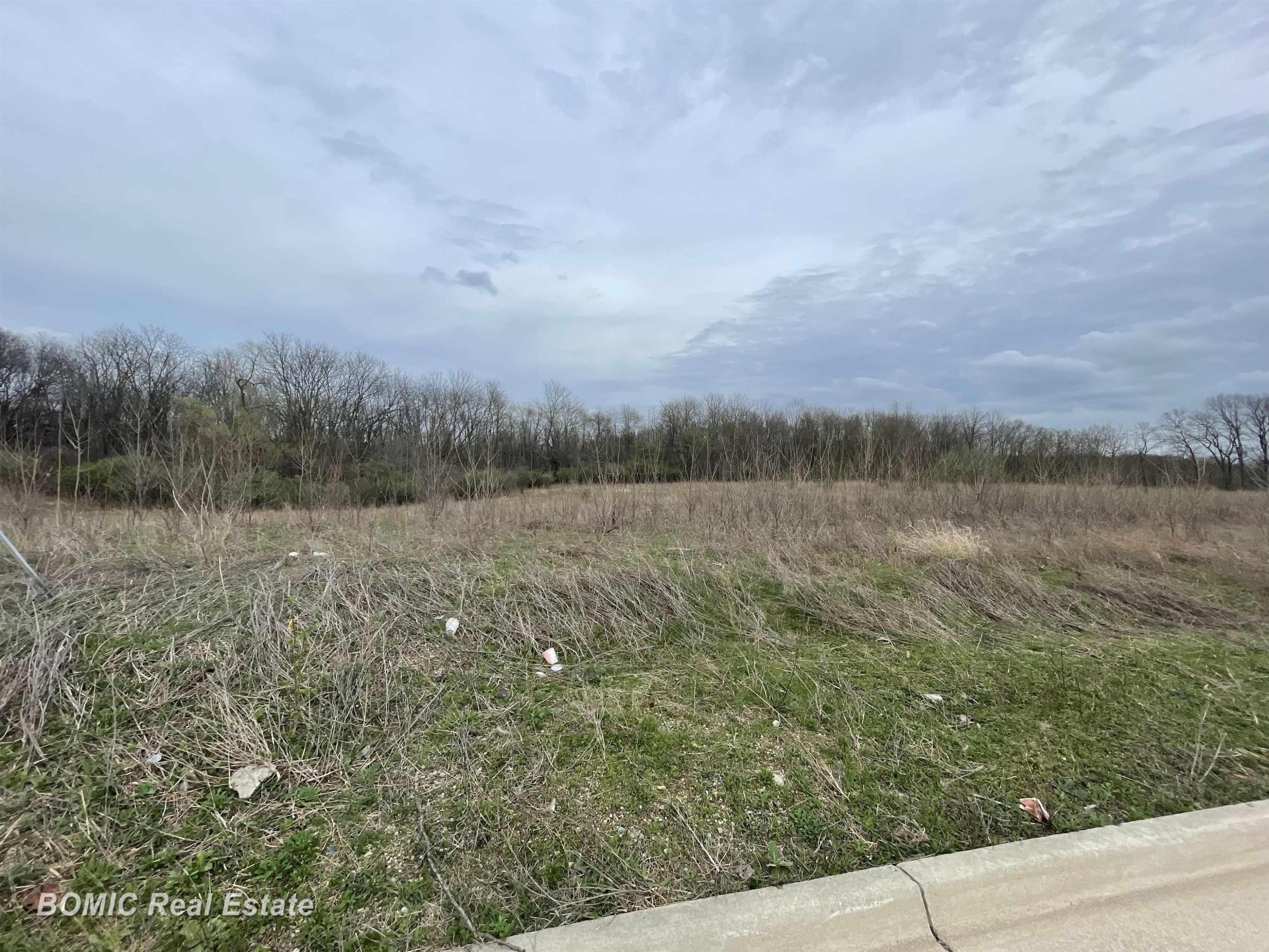 Lot 6 Harvest Park Drive, Dimondale, MI 48821 — Photo 3